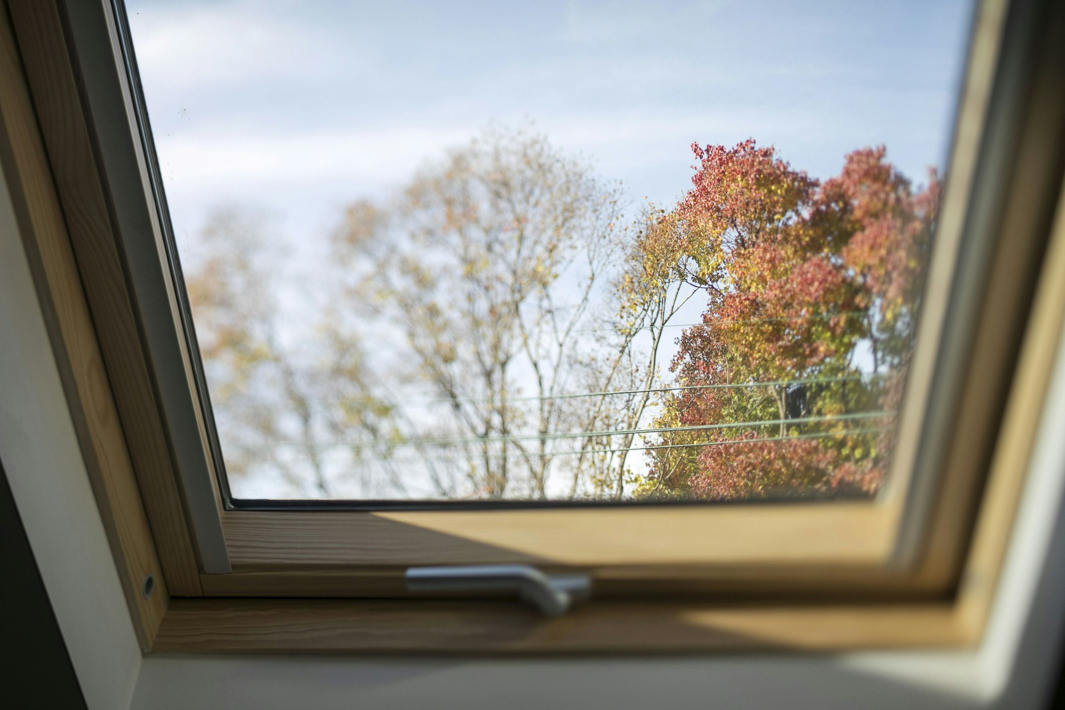 window