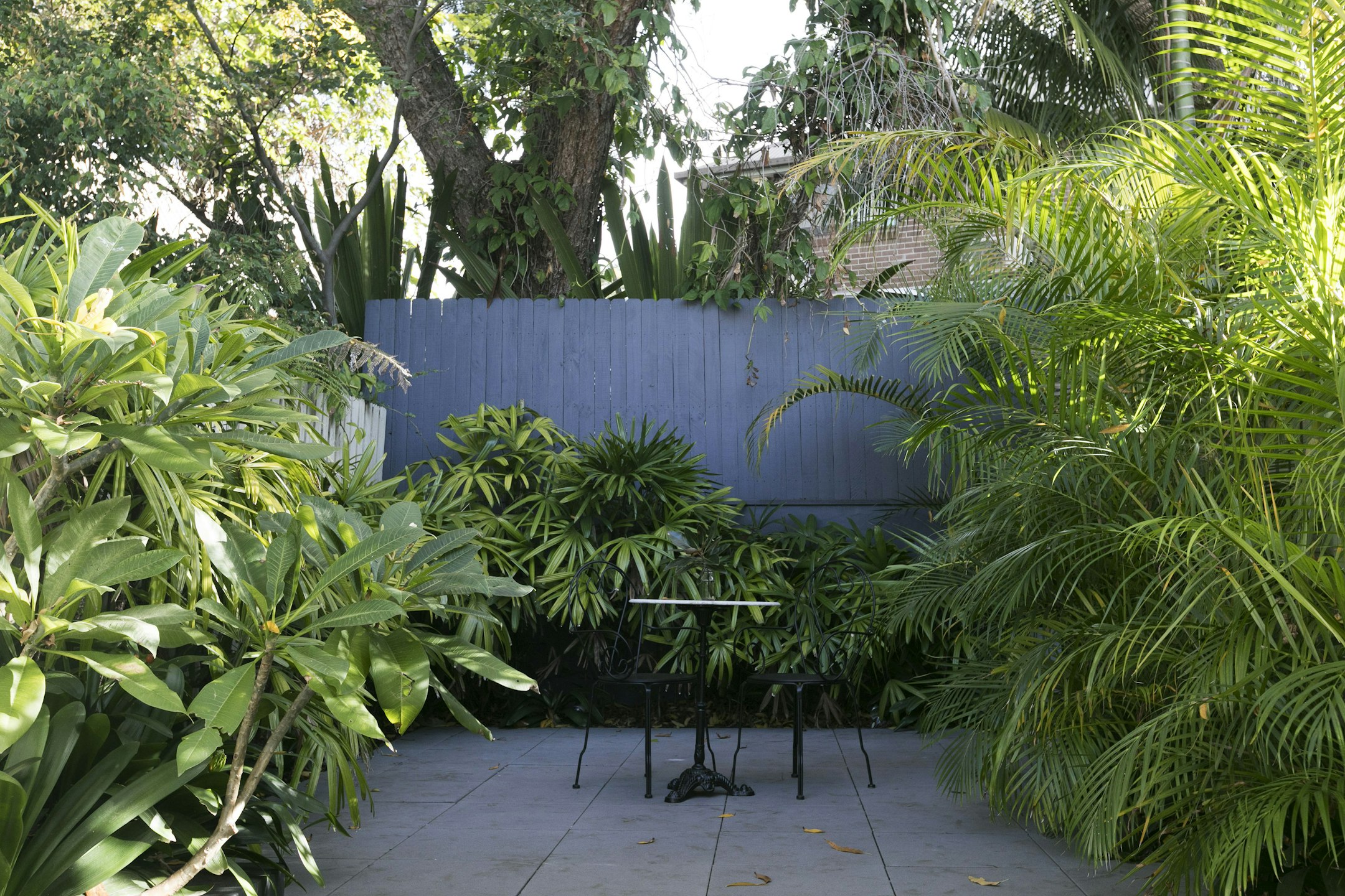 garden