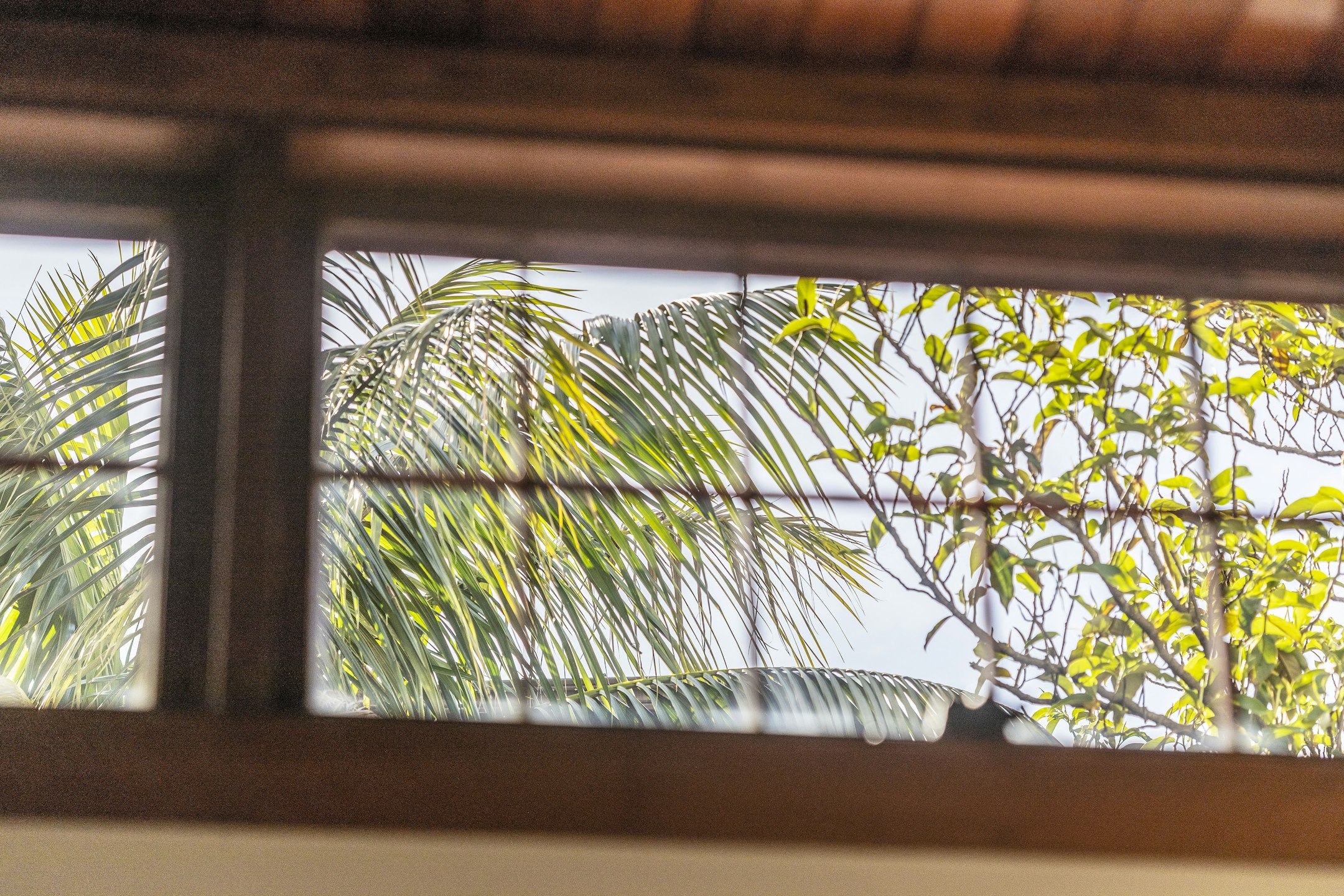 window