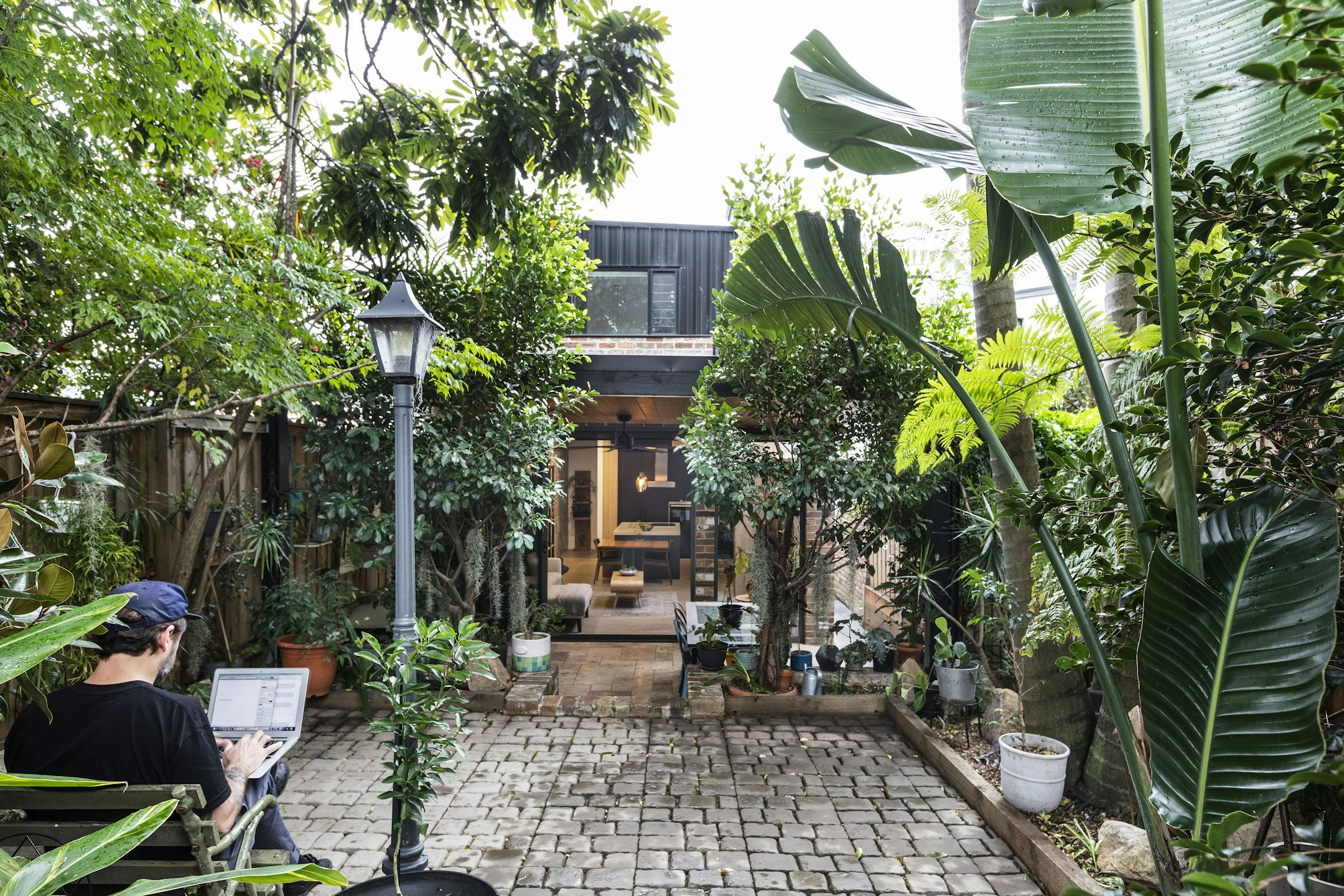 garden