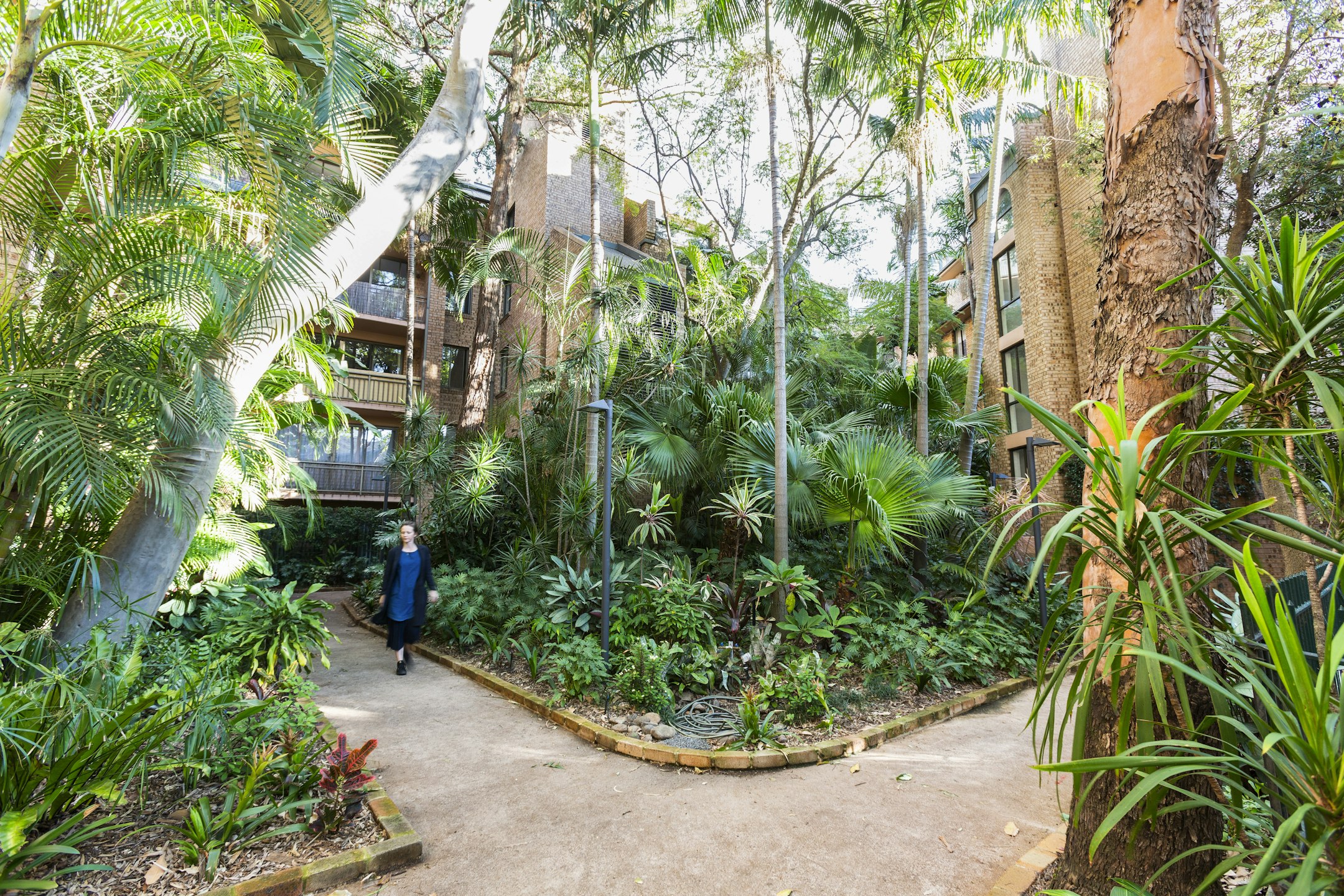 garden