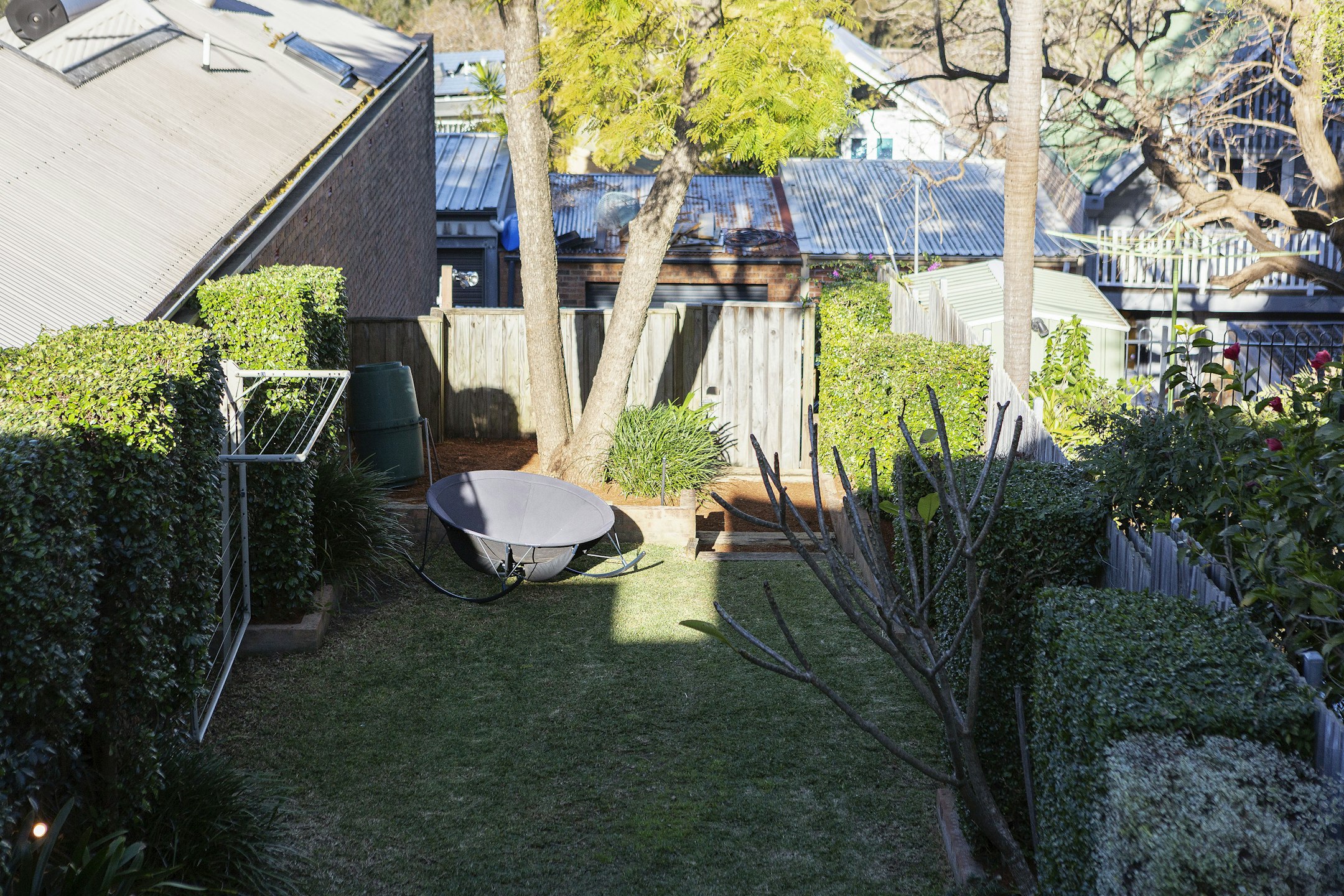 garden