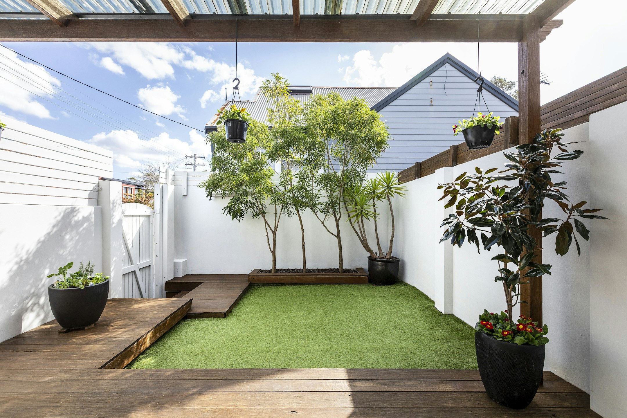 backyard