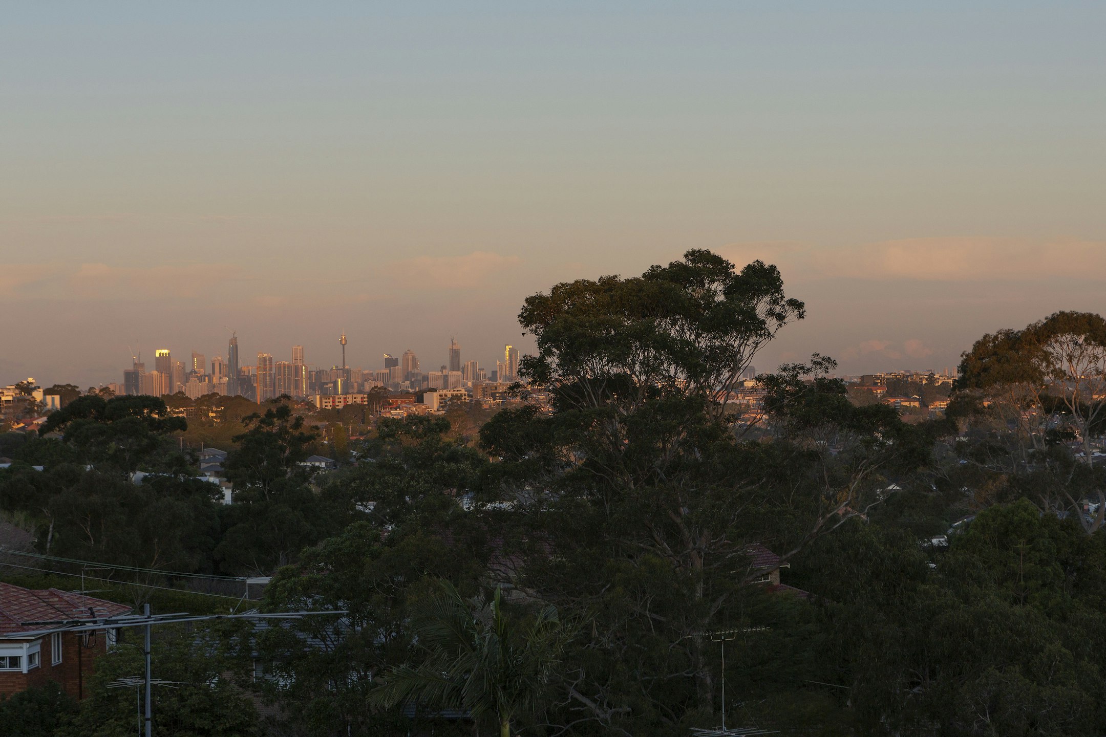 city