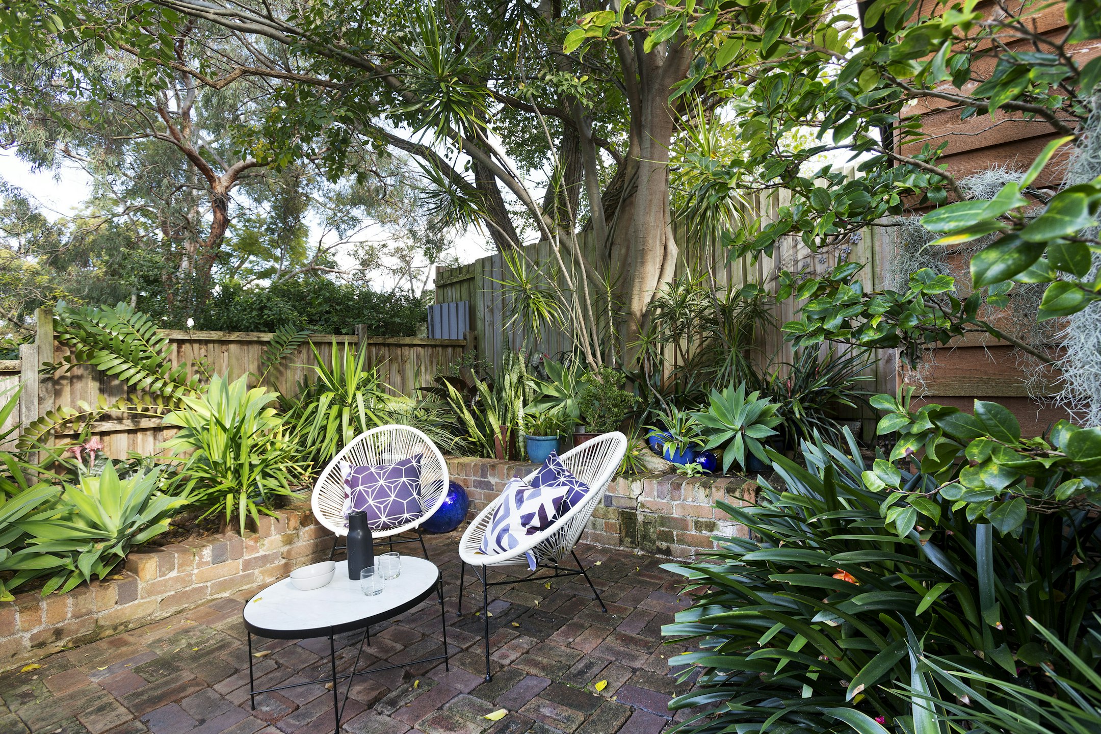 garden