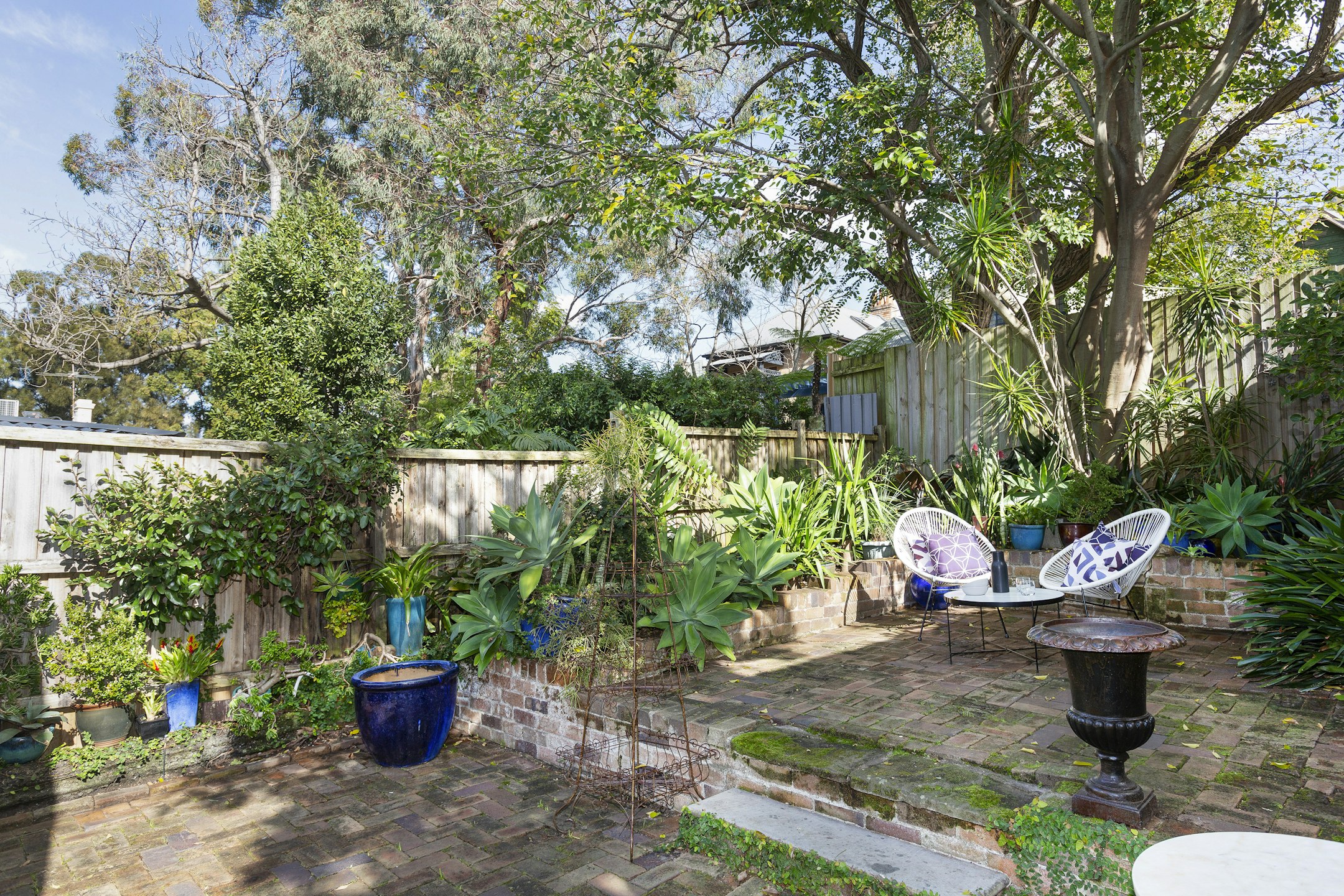 backyard