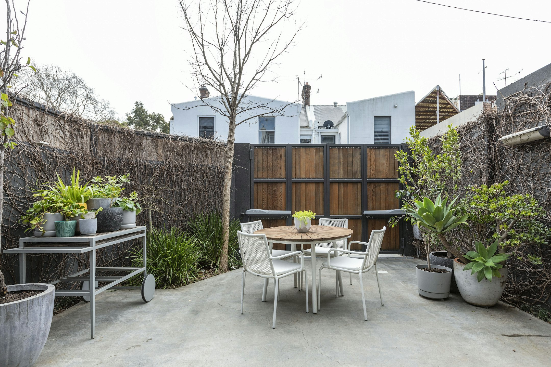 backyard