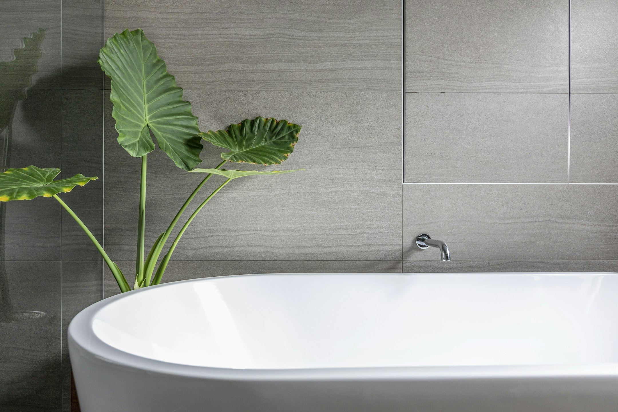 tub