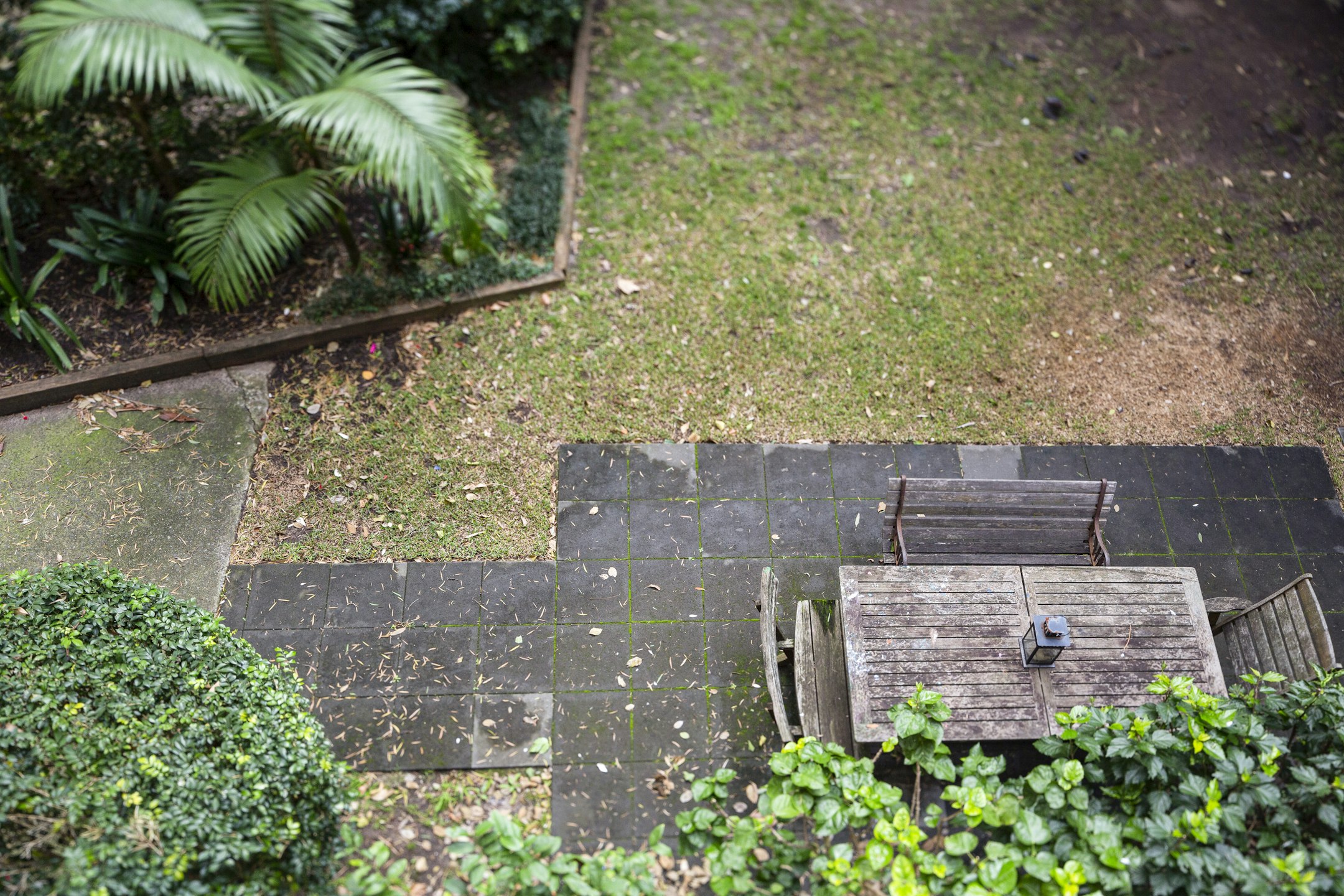 garden