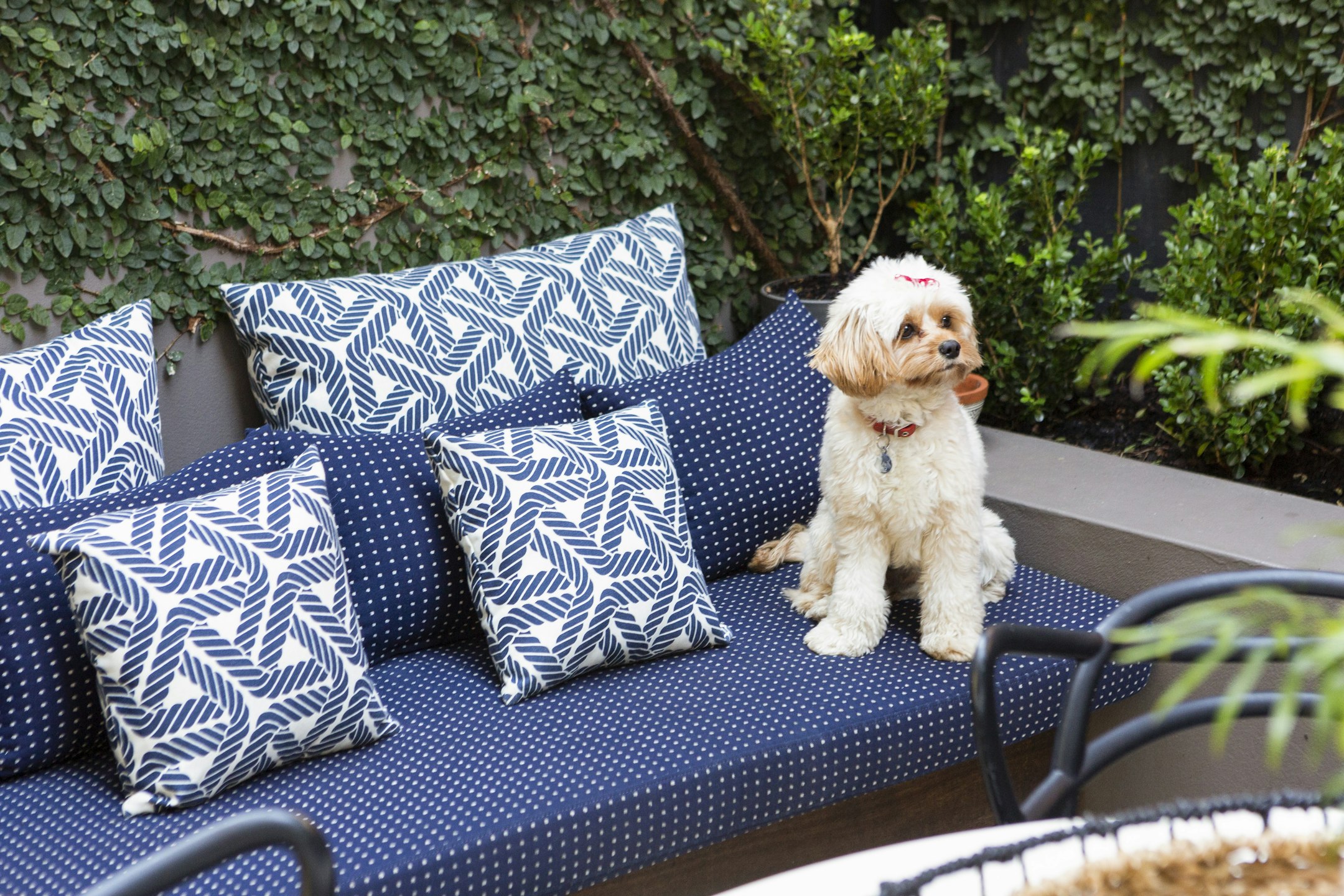 cushion