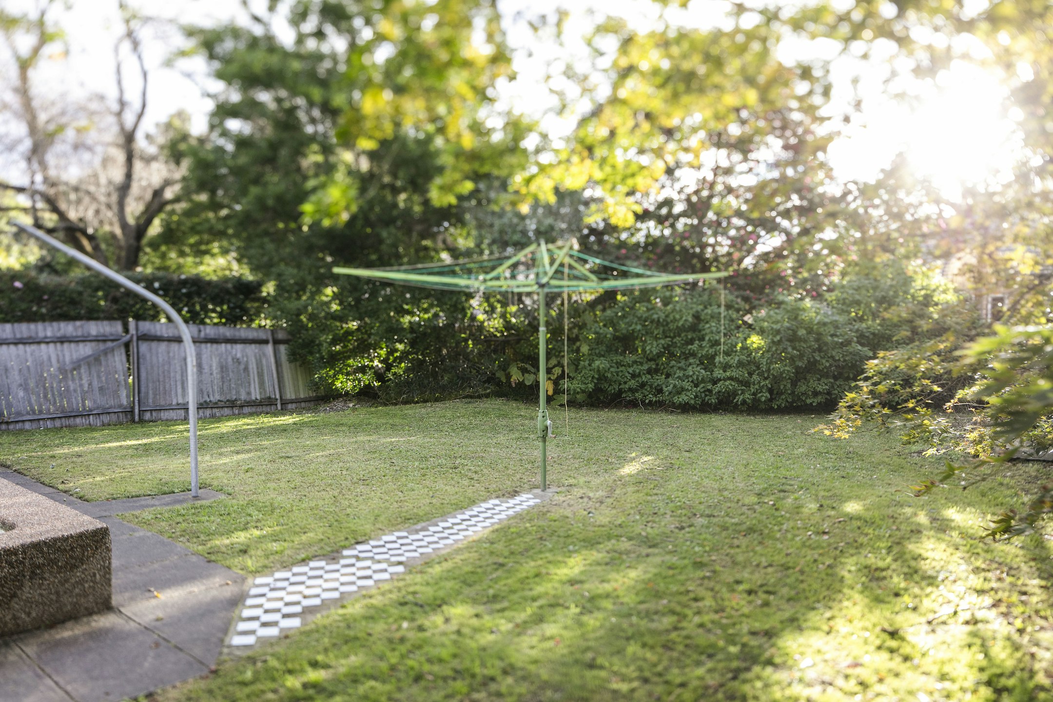 grass