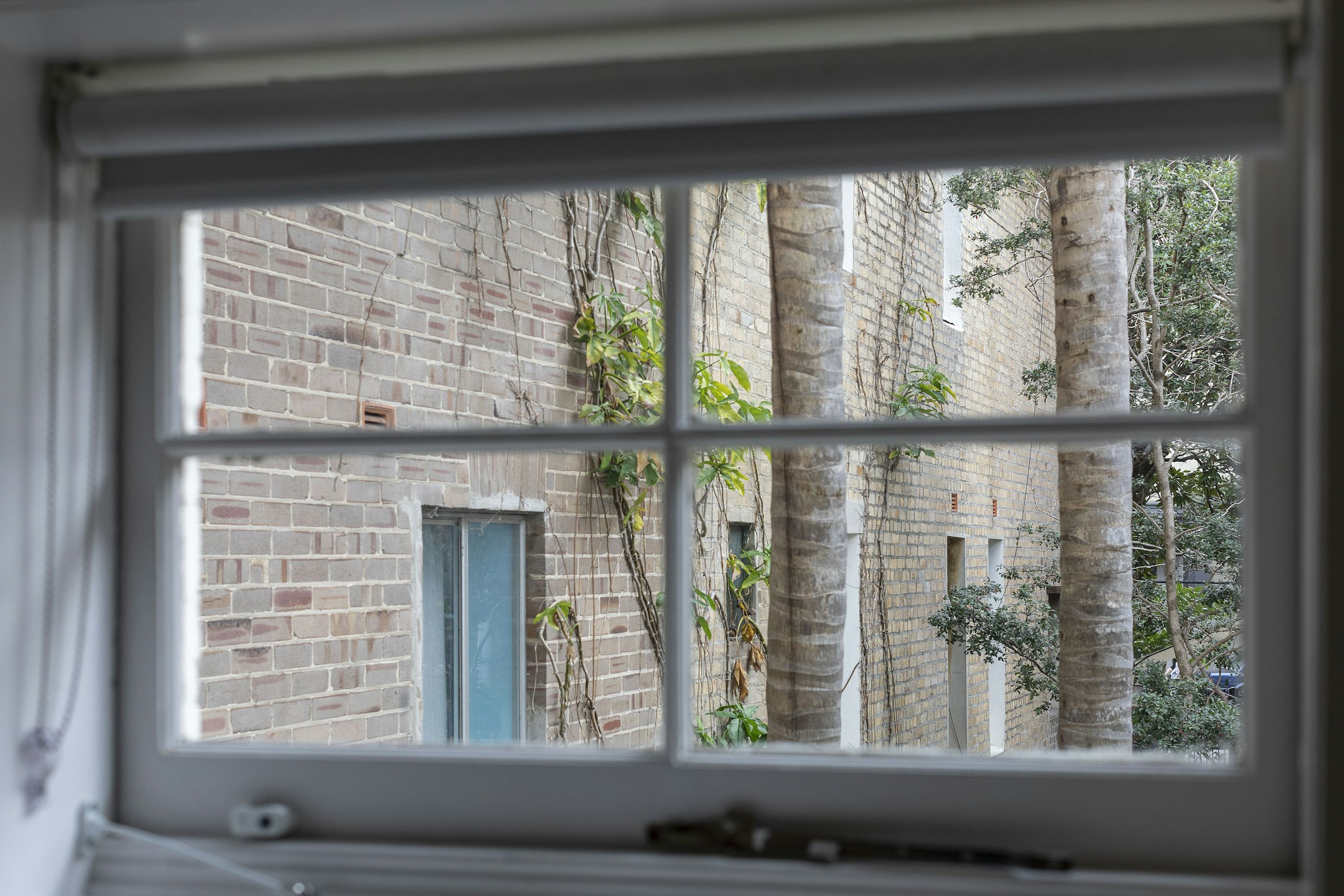 window