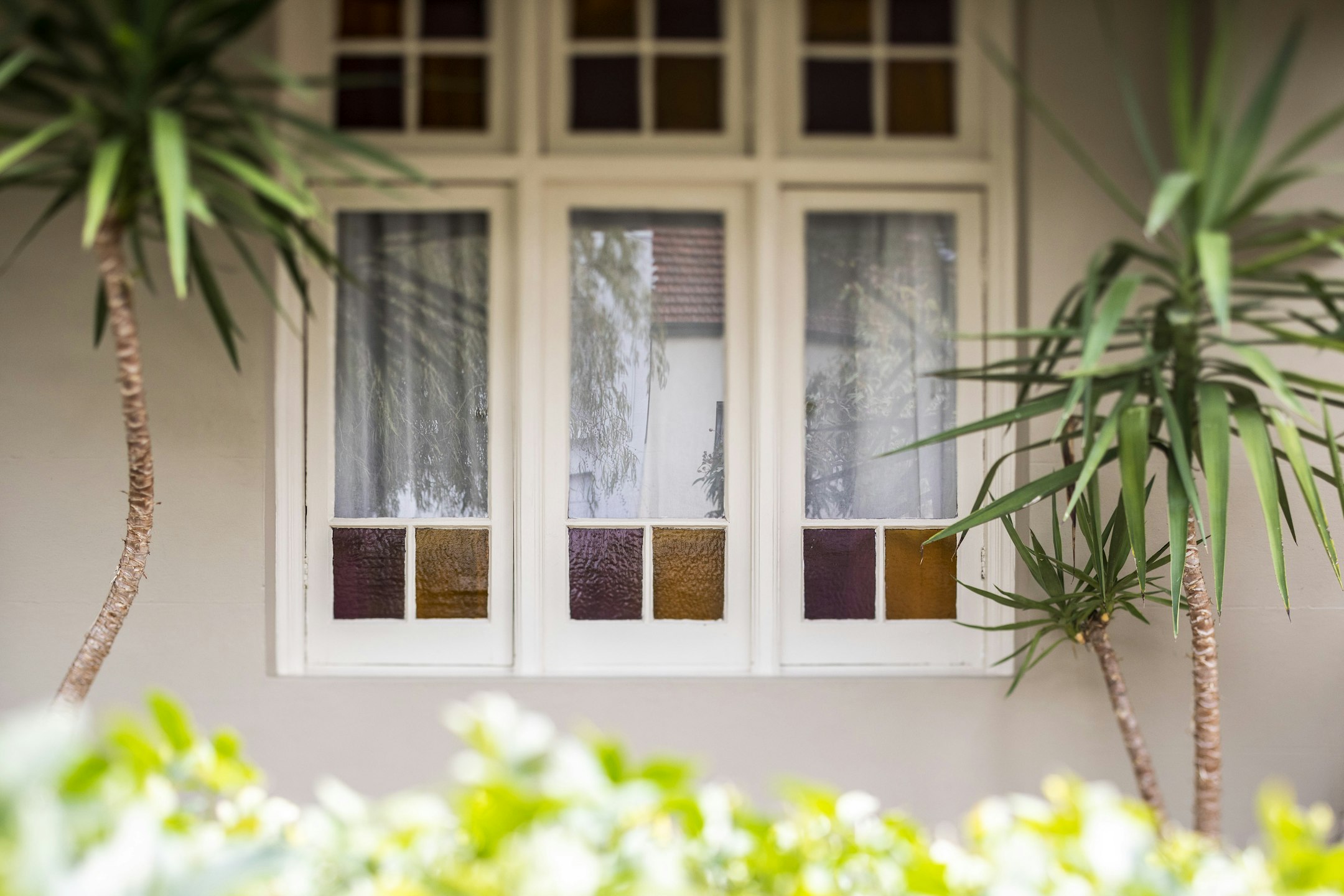 window