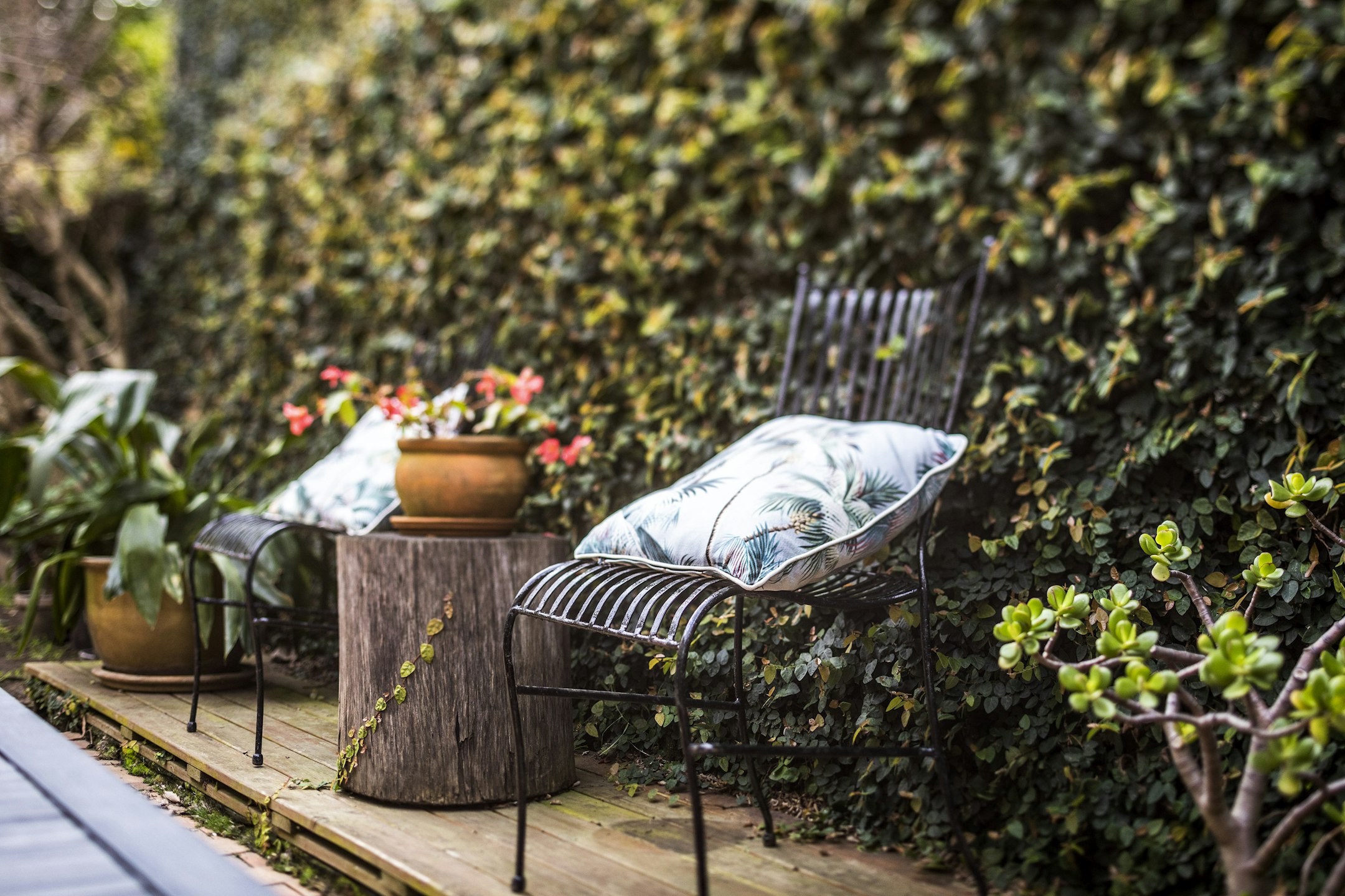 garden