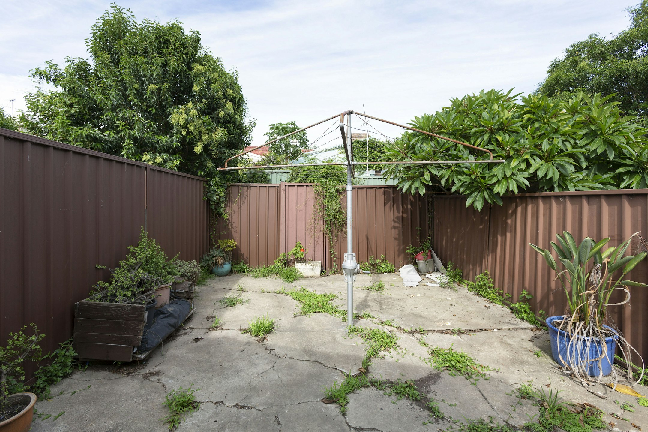 backyard