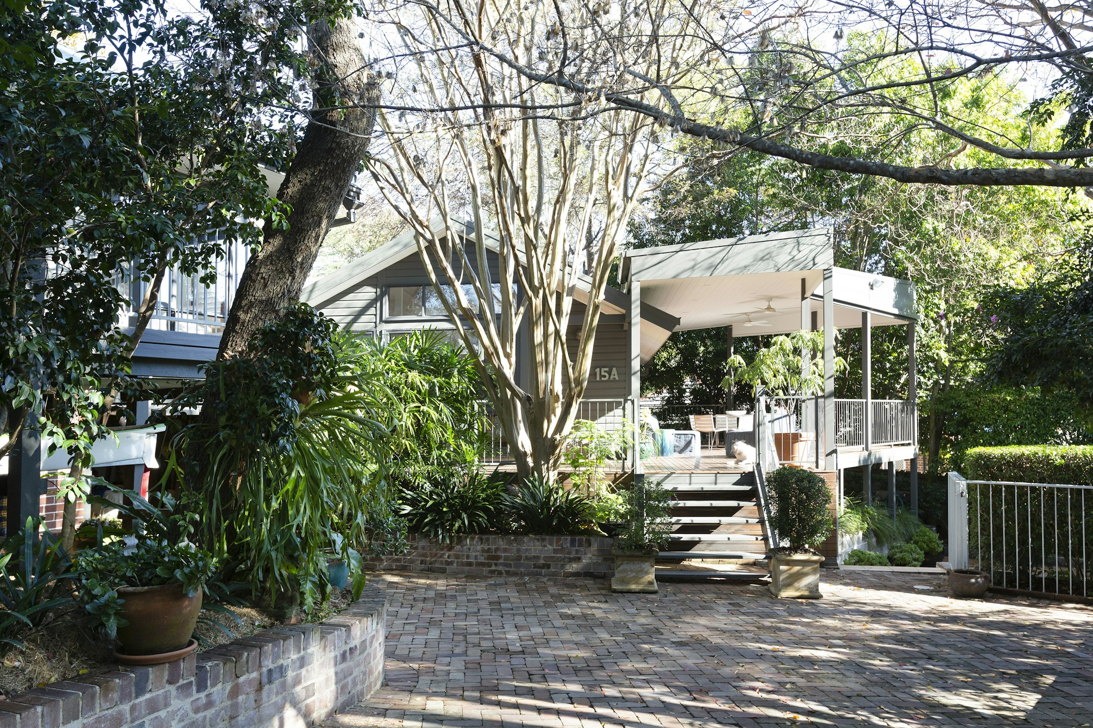 garden