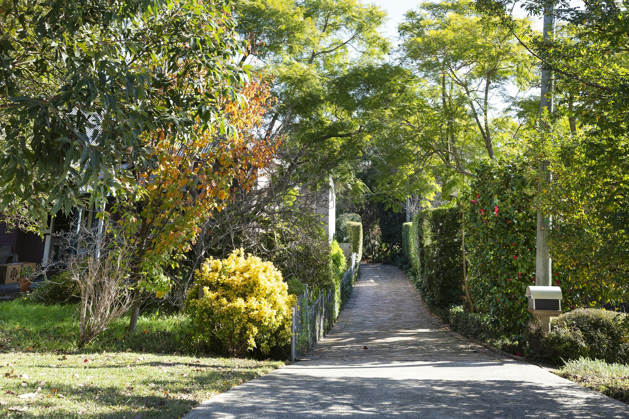 garden