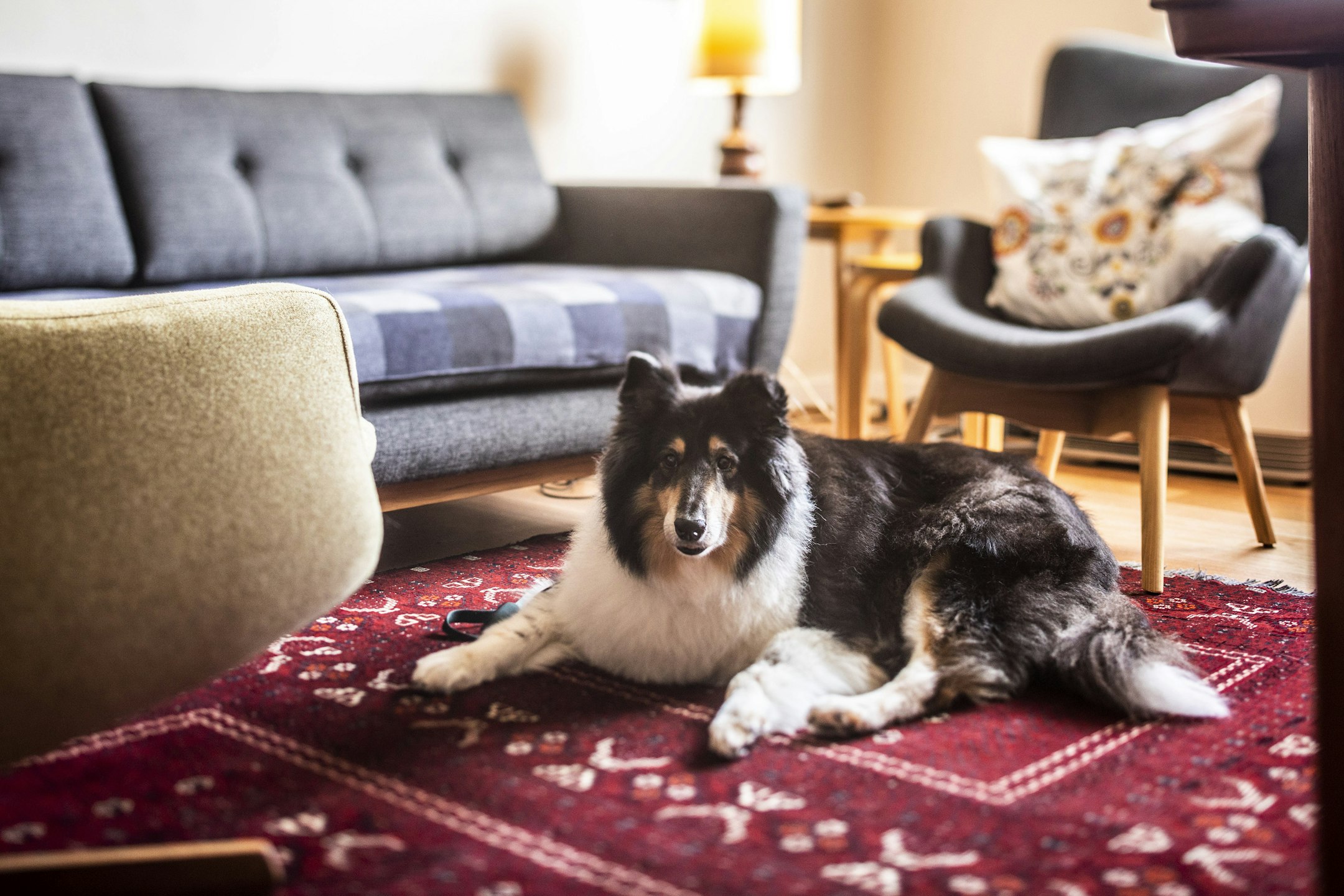 couch