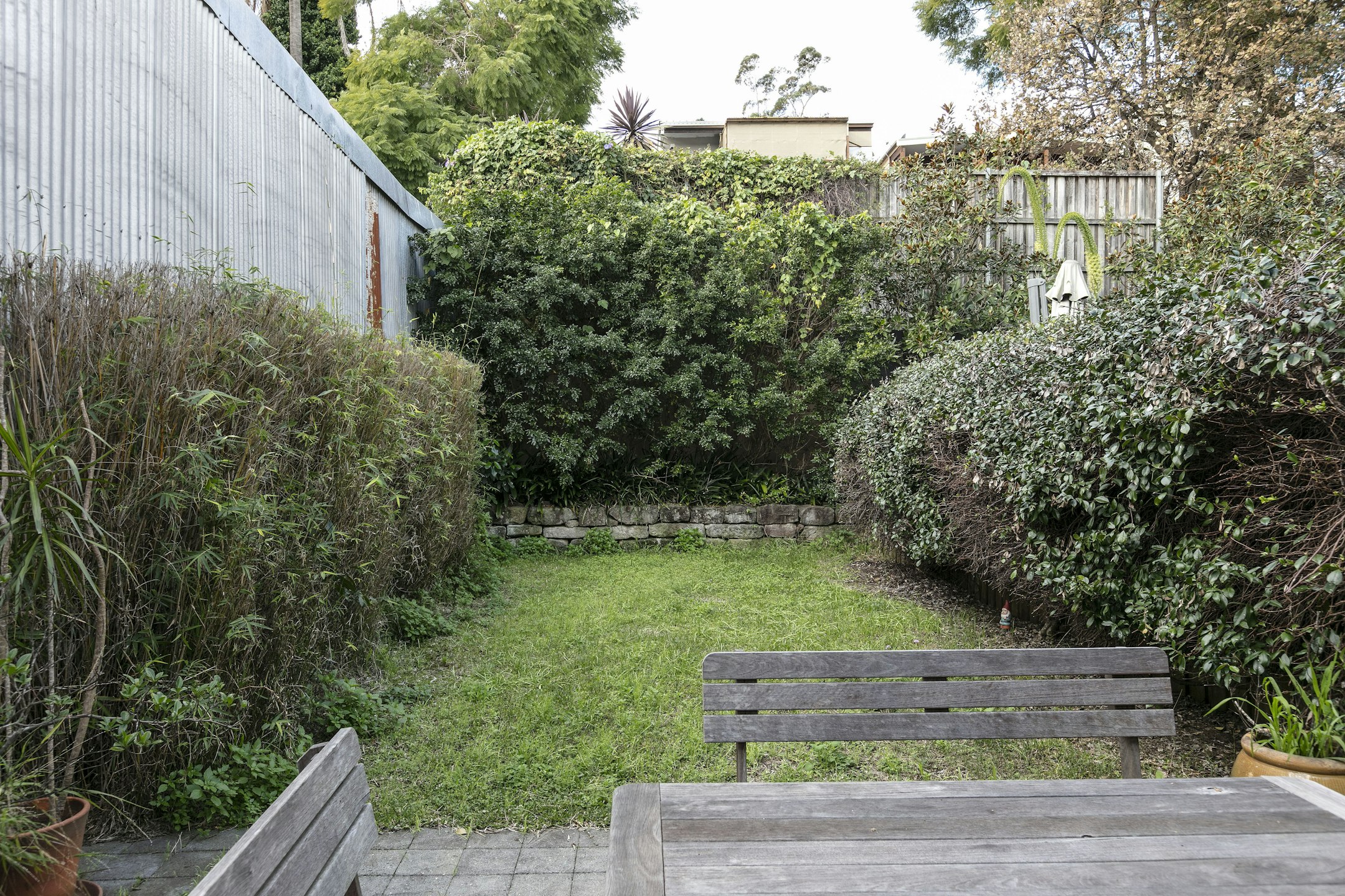 garden