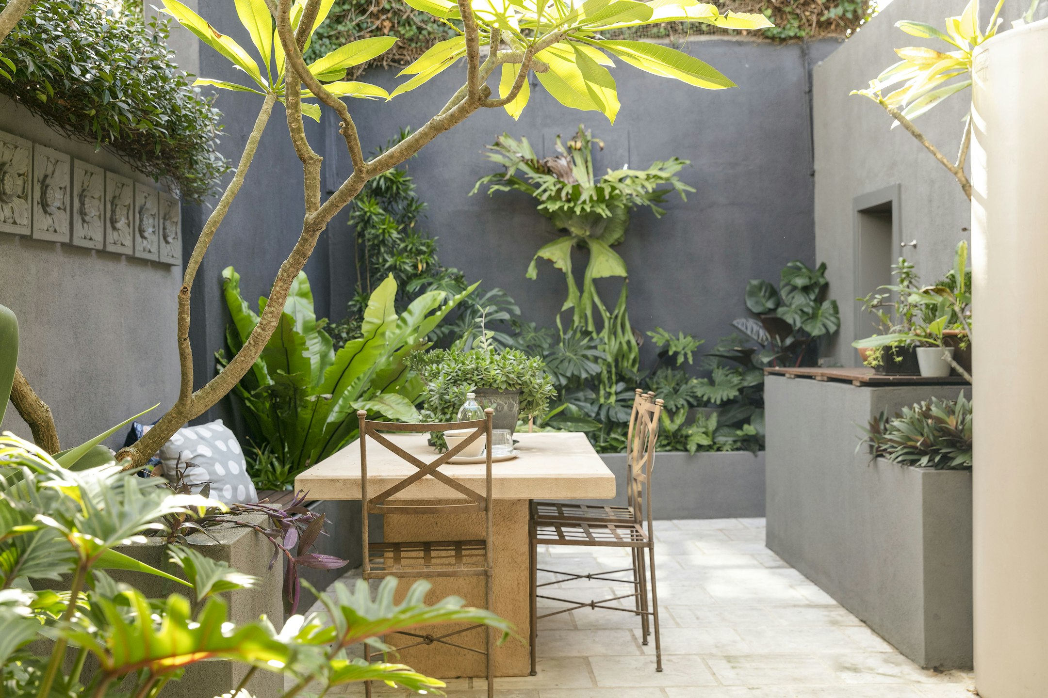 garden