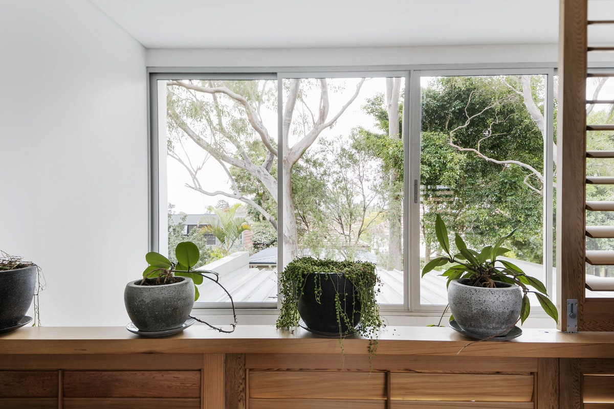 window