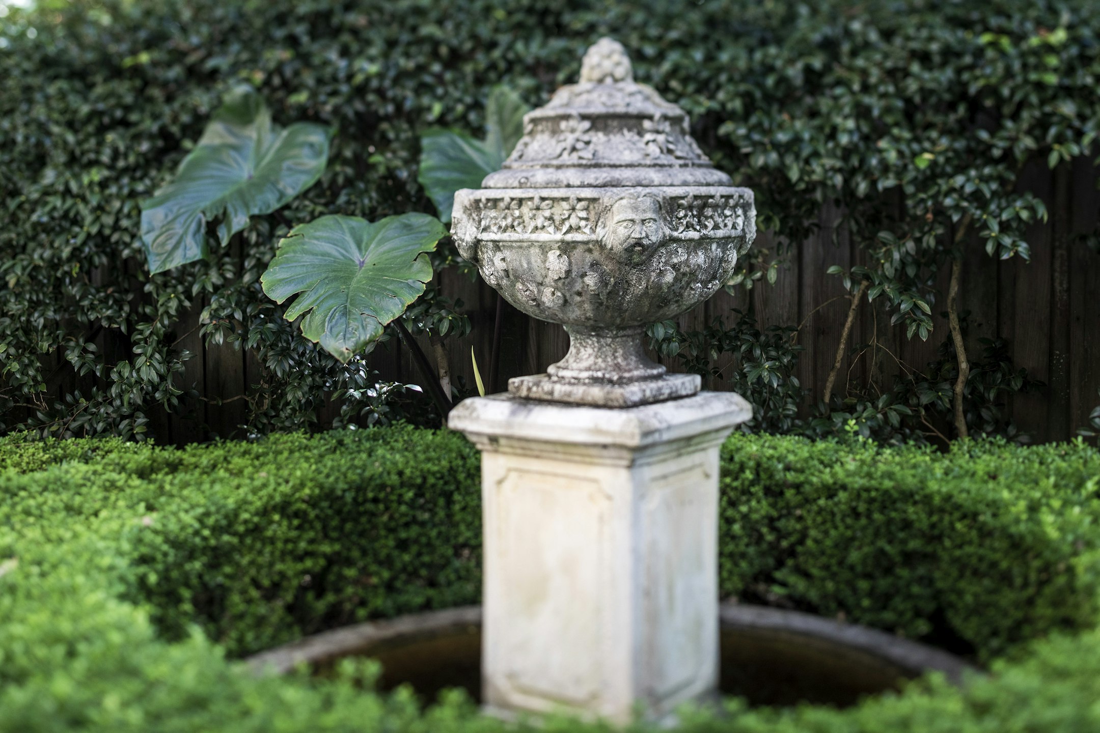 garden