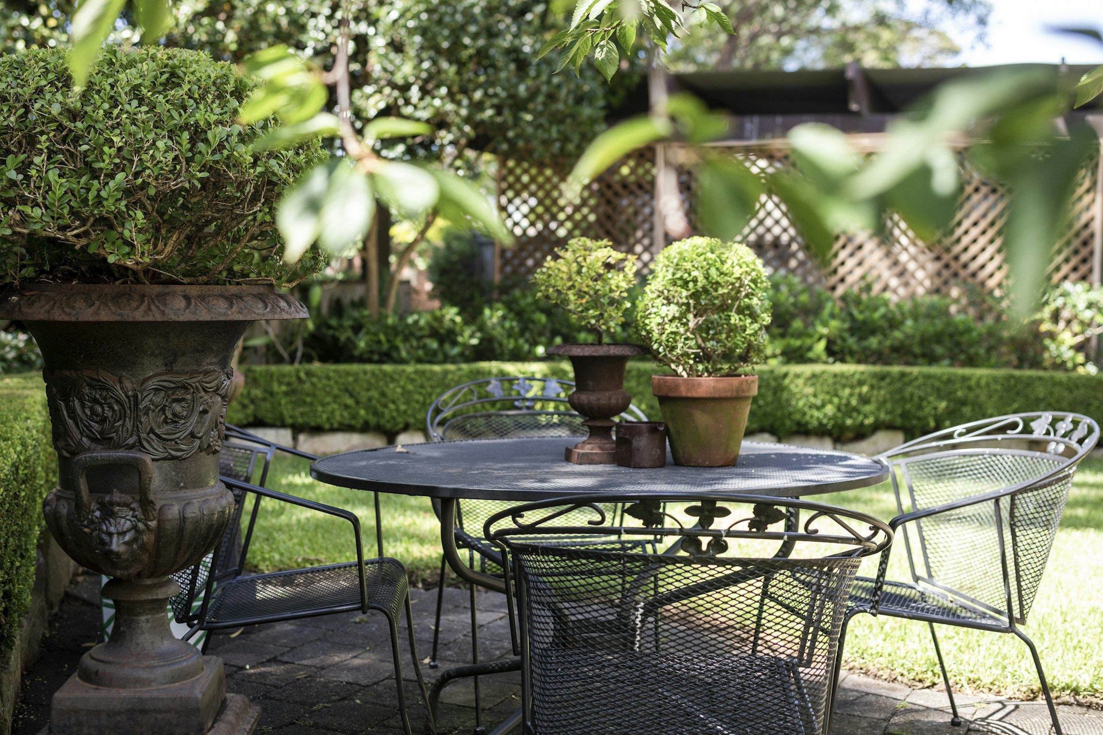 backyard