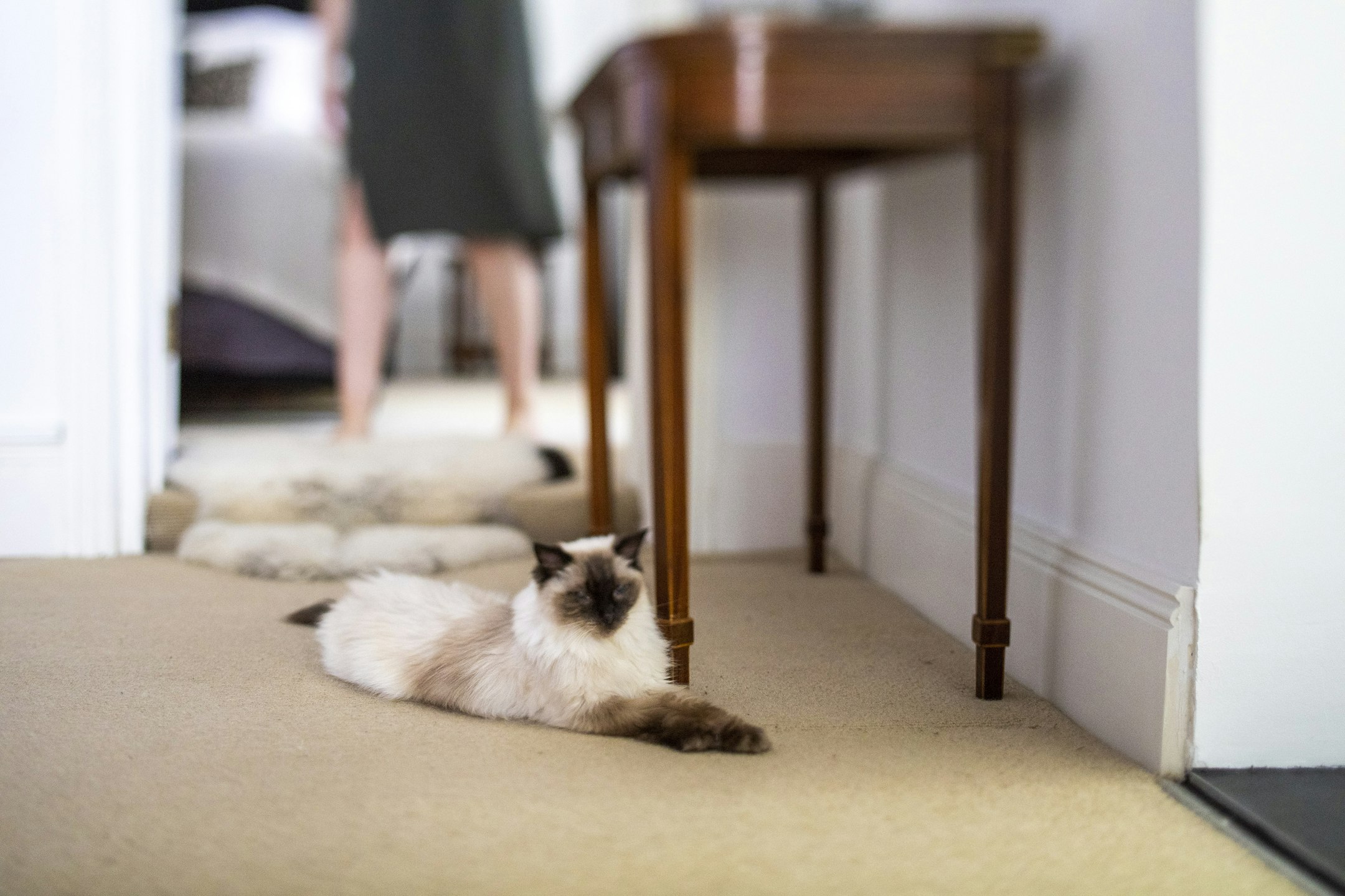 floor