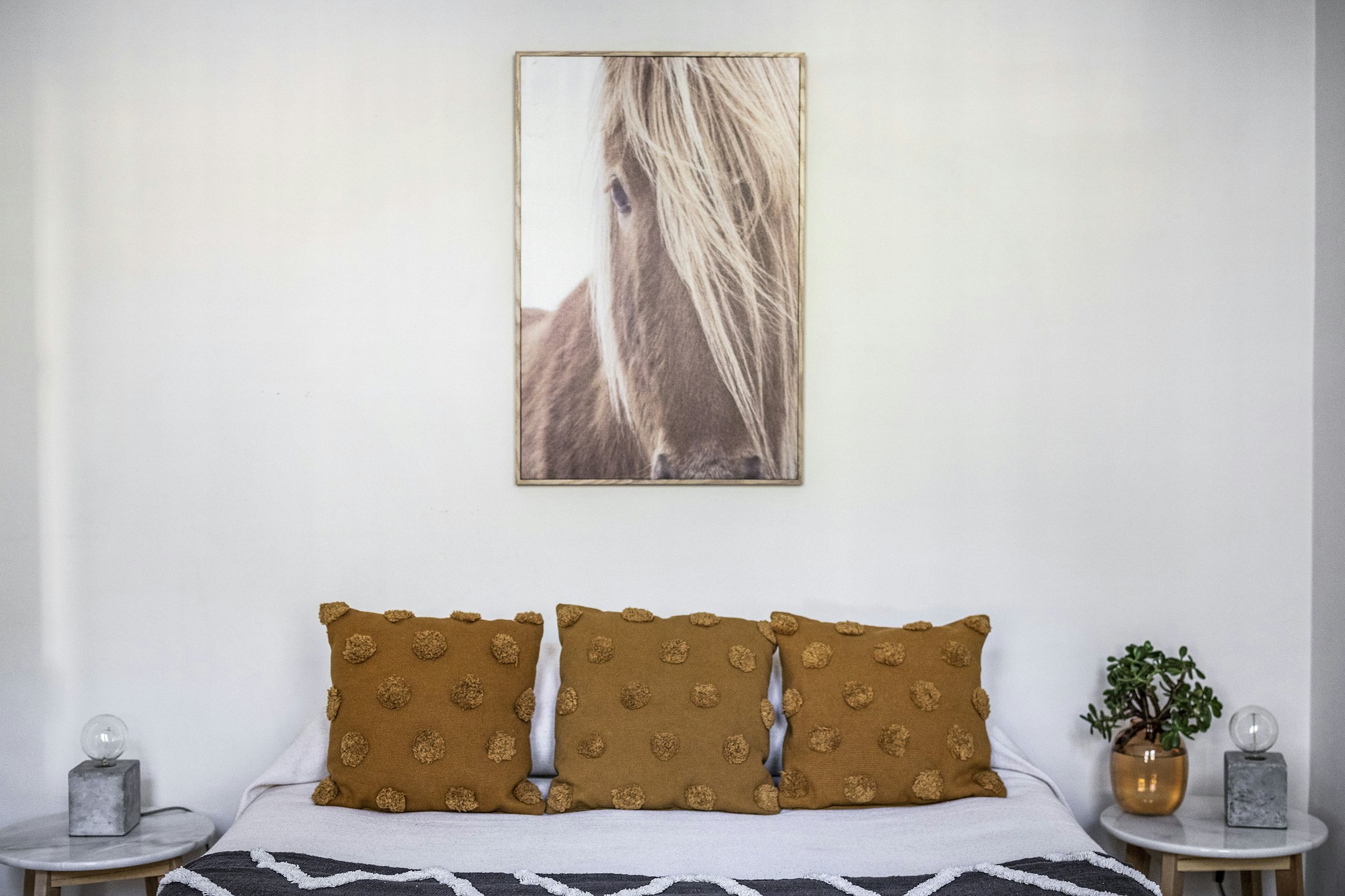 cushion