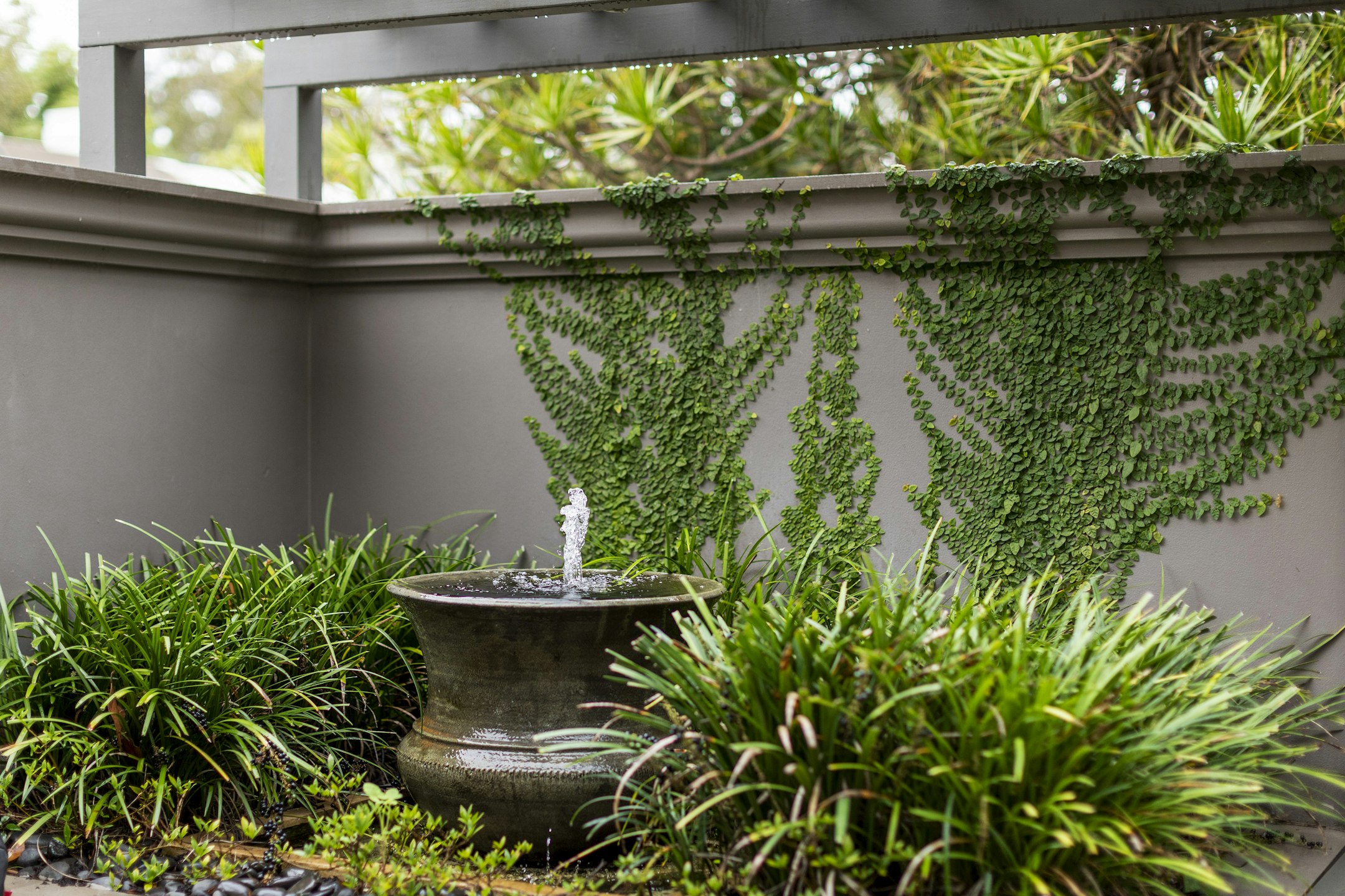 garden