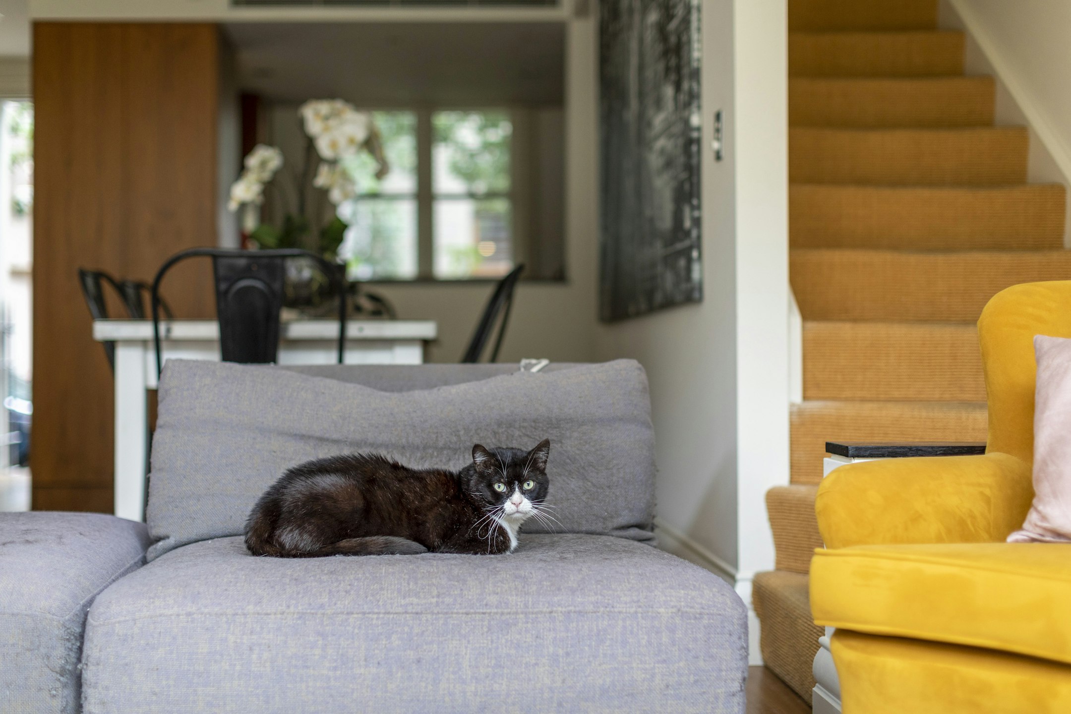 couch