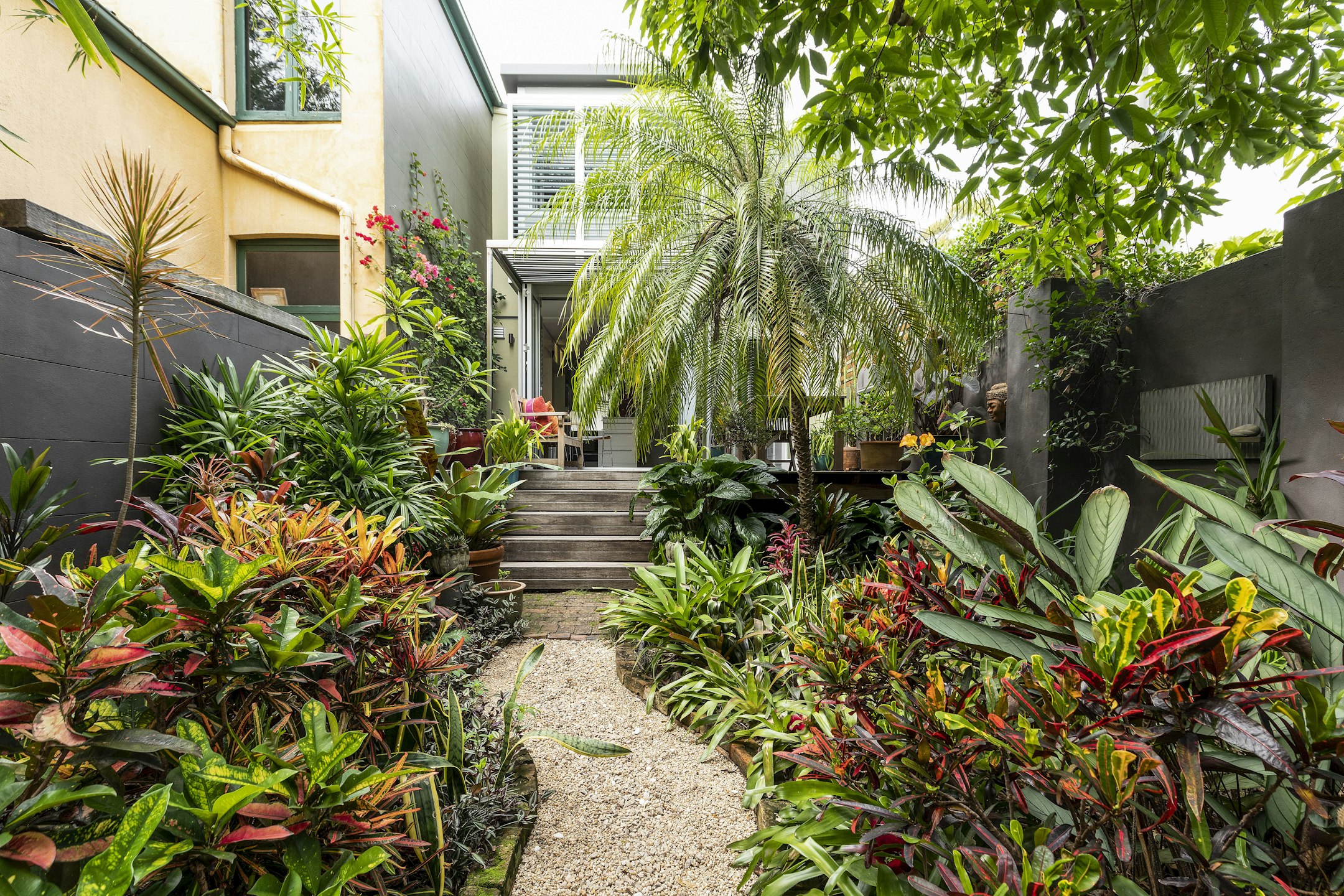 garden