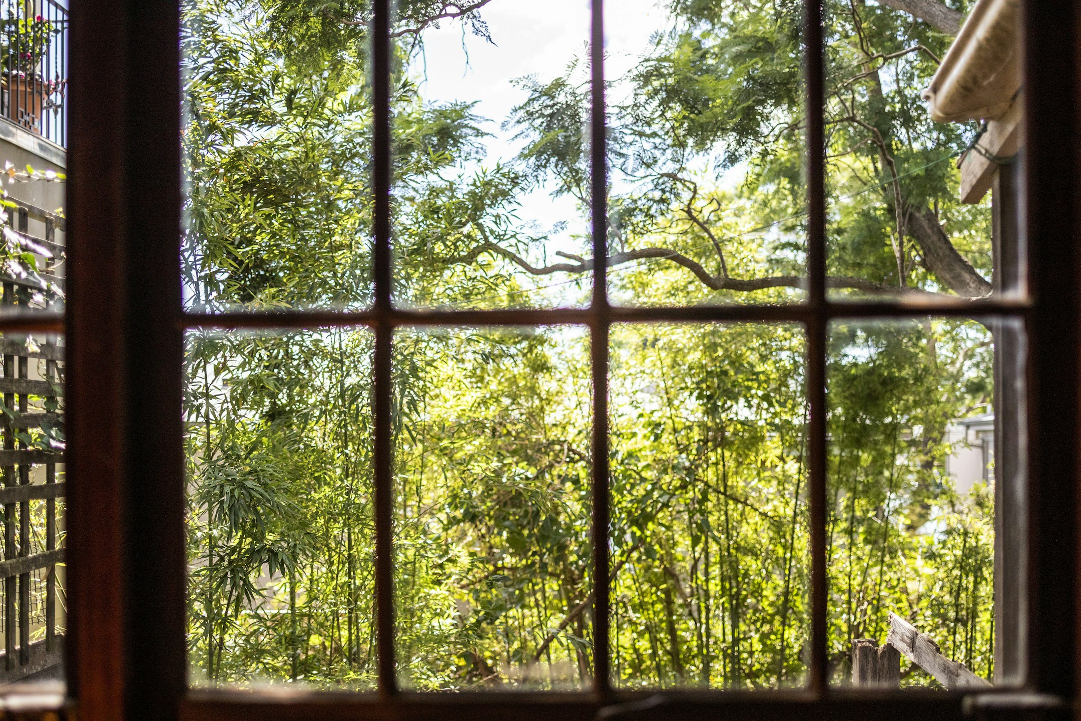window