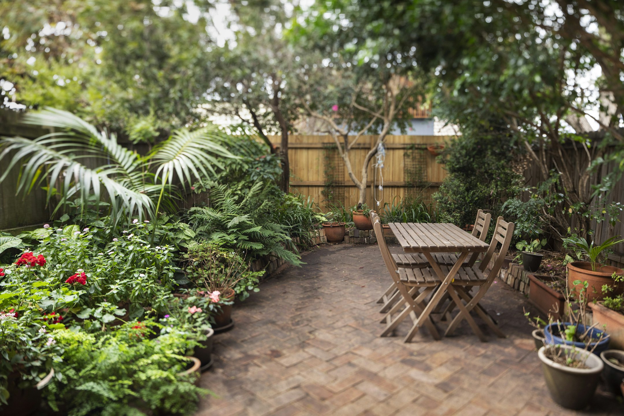 garden