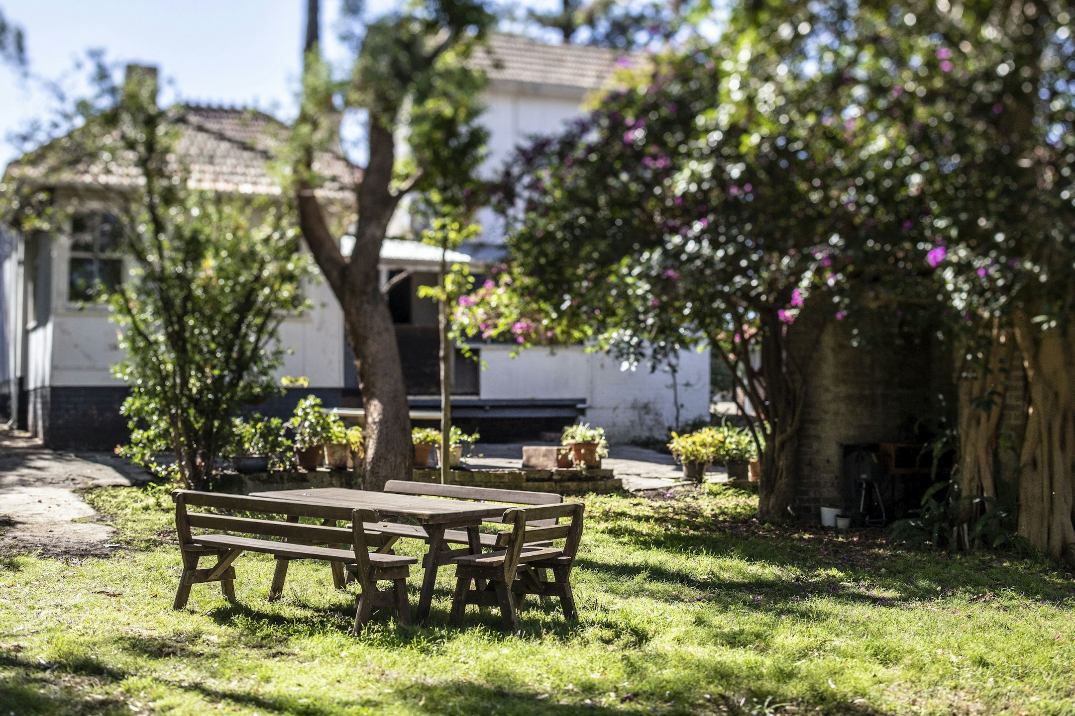 garden