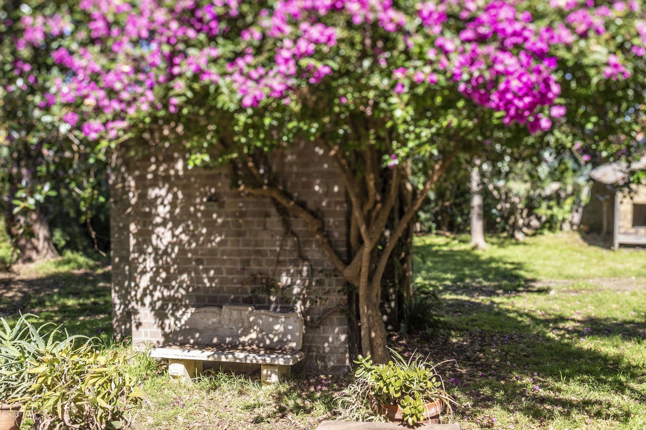 arbour