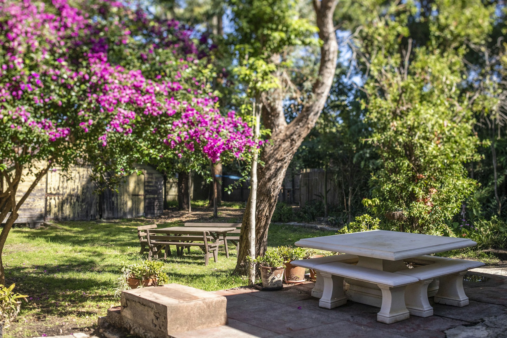 garden