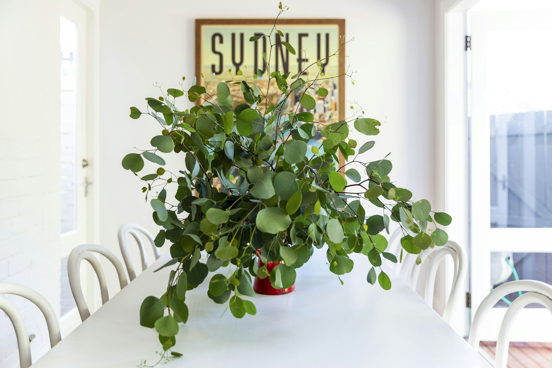 plant