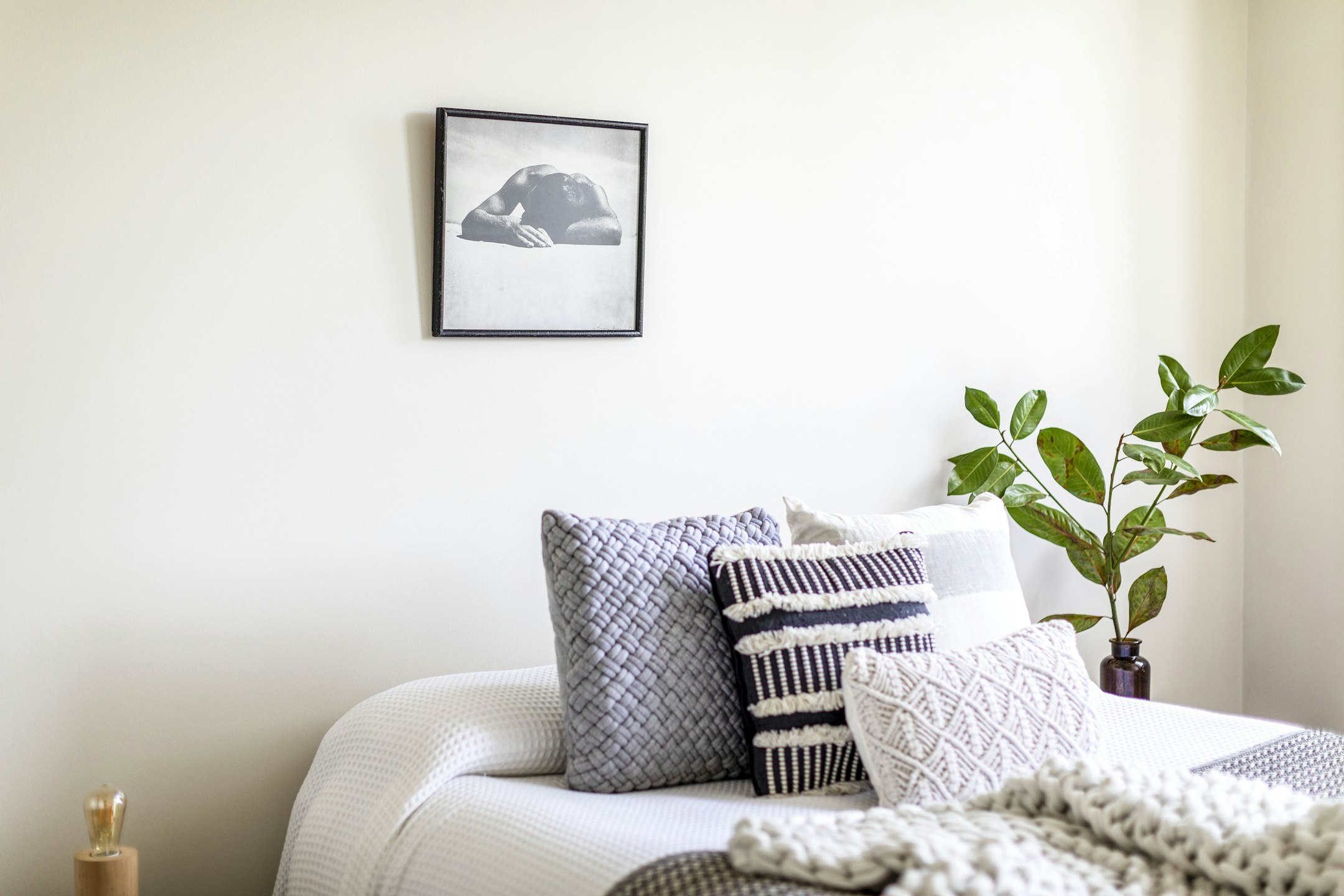 cushion