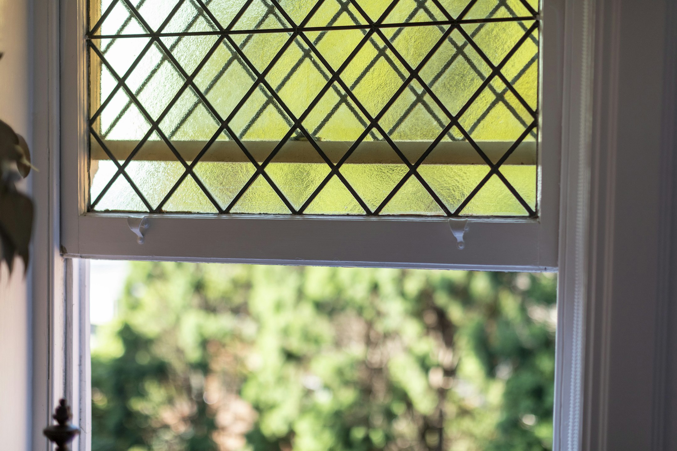 window