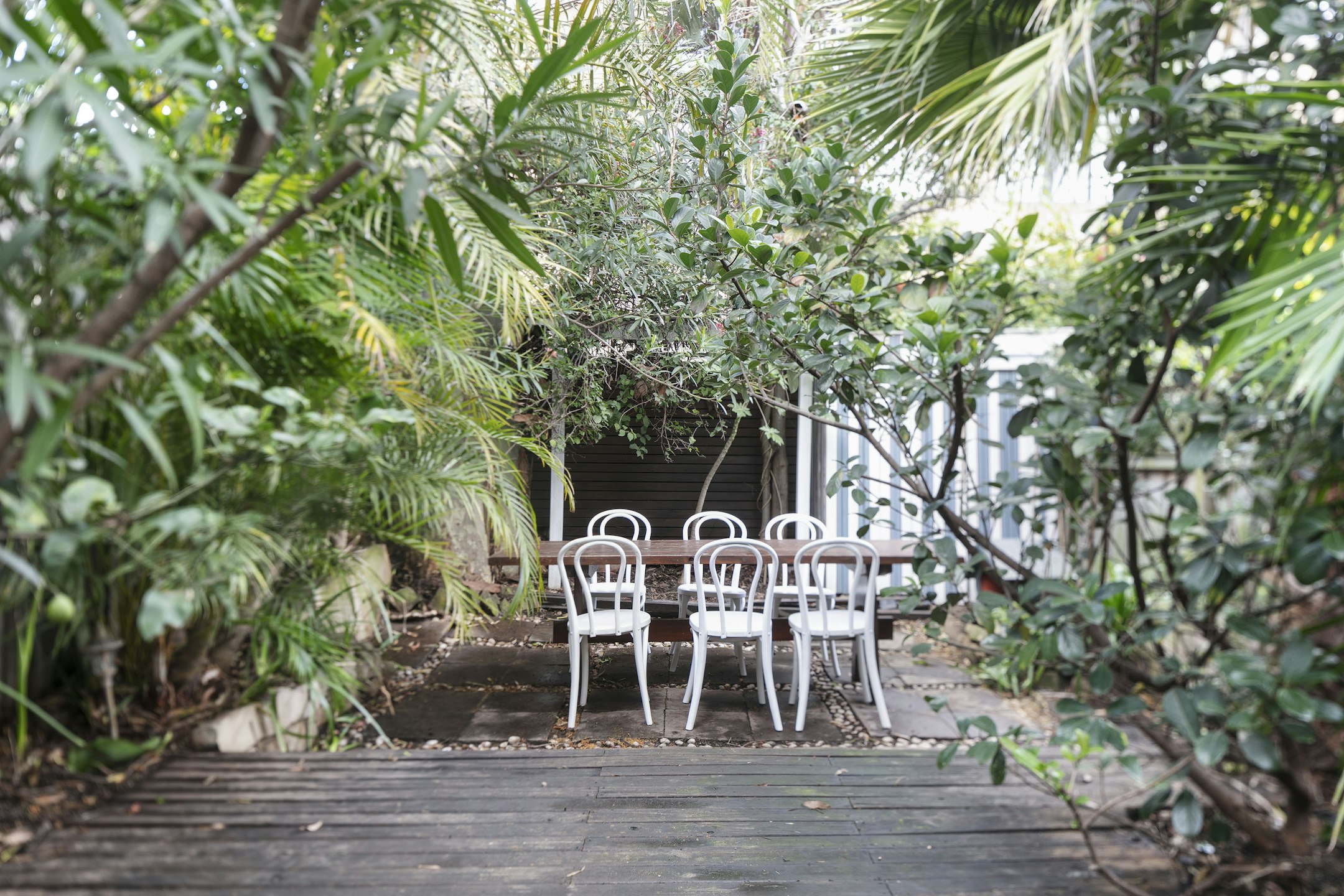 garden