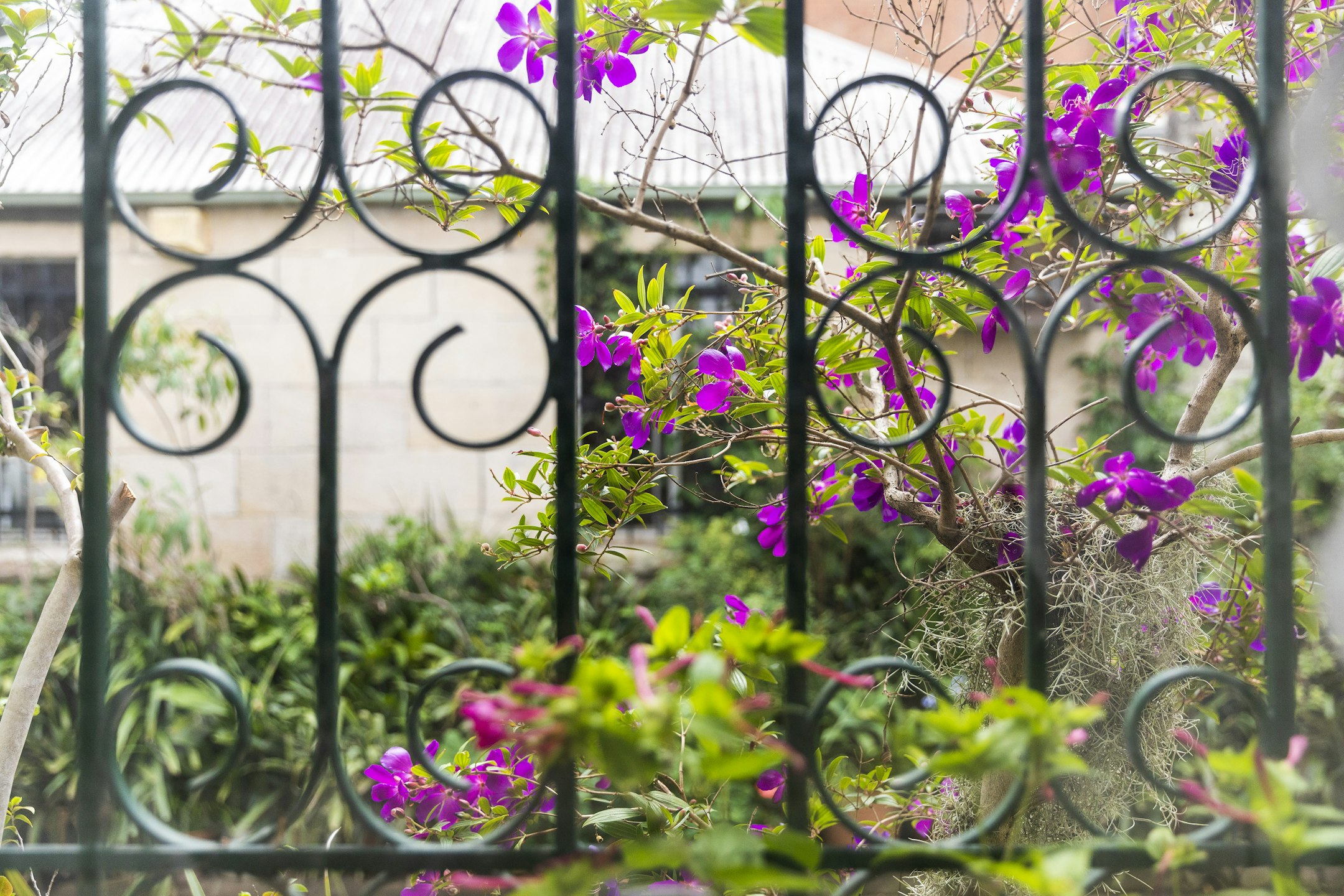 arbour