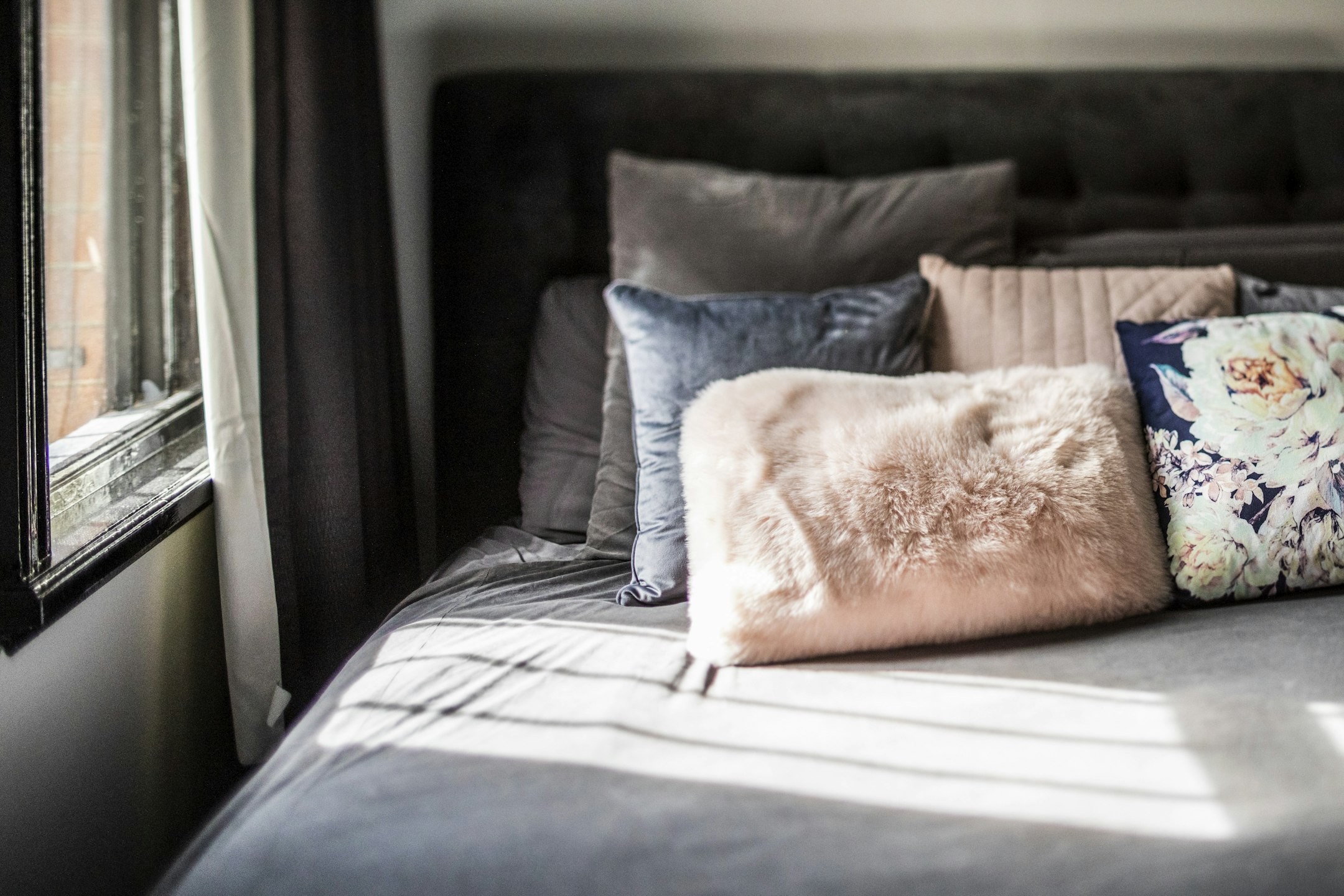 cushion