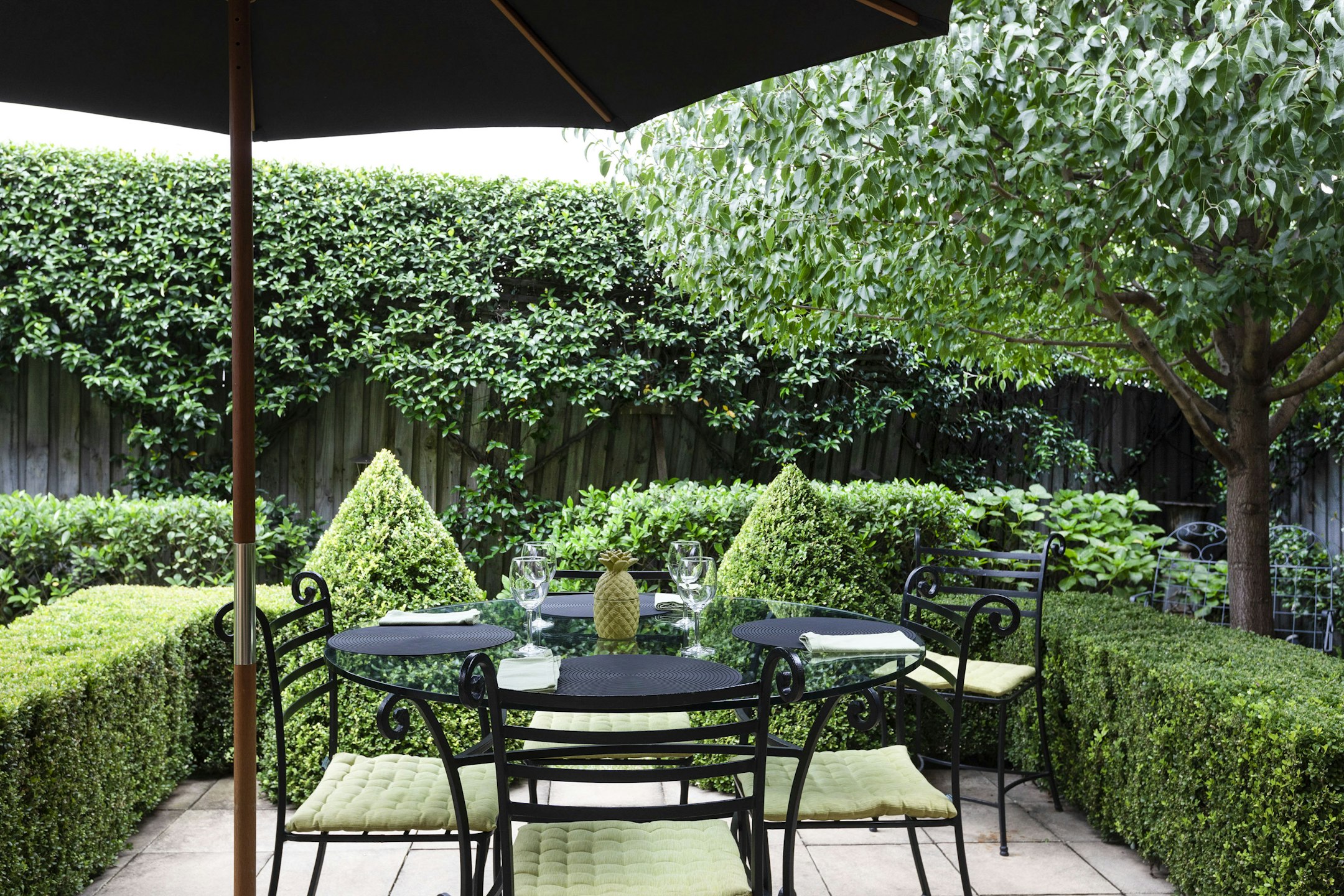 garden