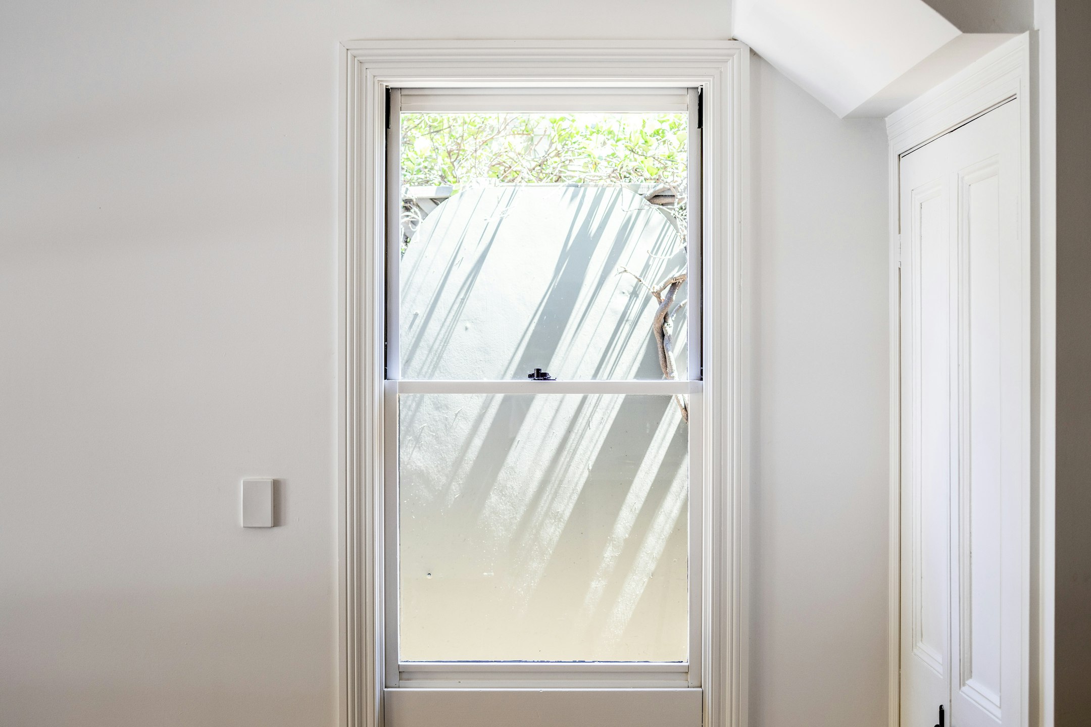 window