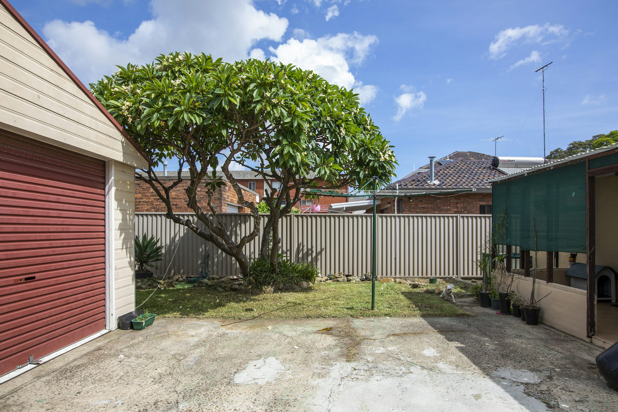 backyard