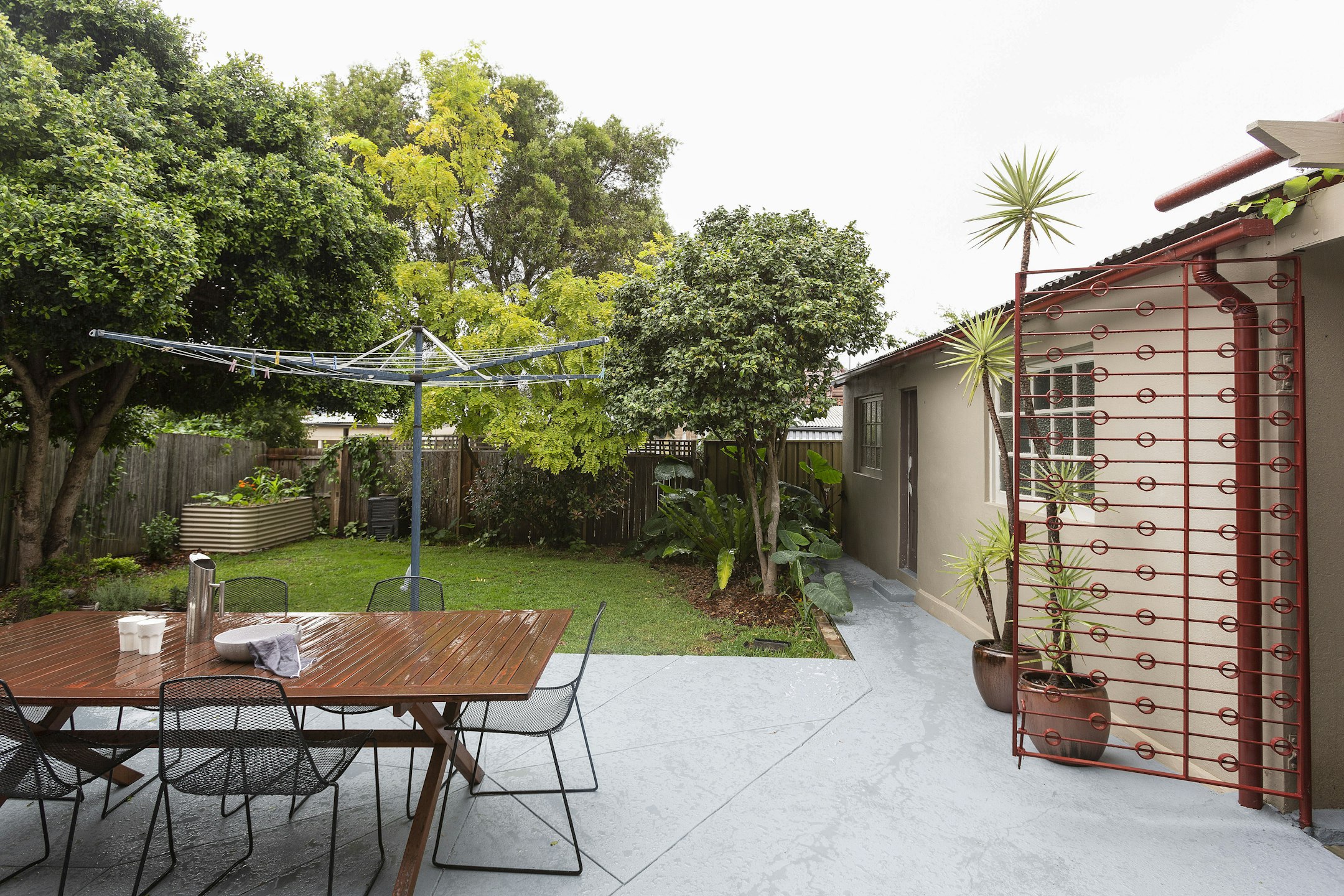 backyard