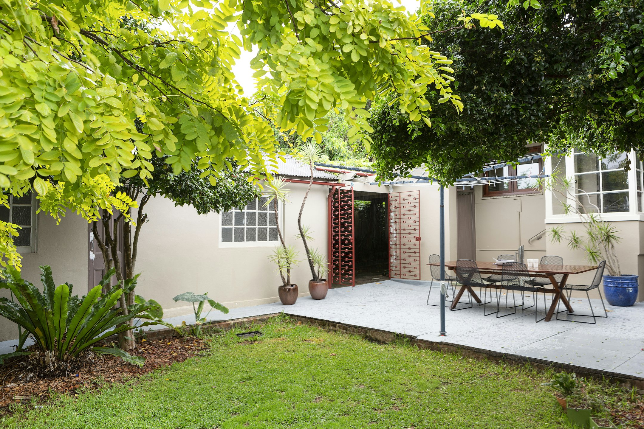 backyard