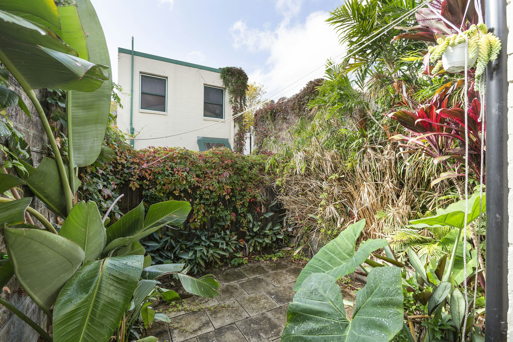 garden