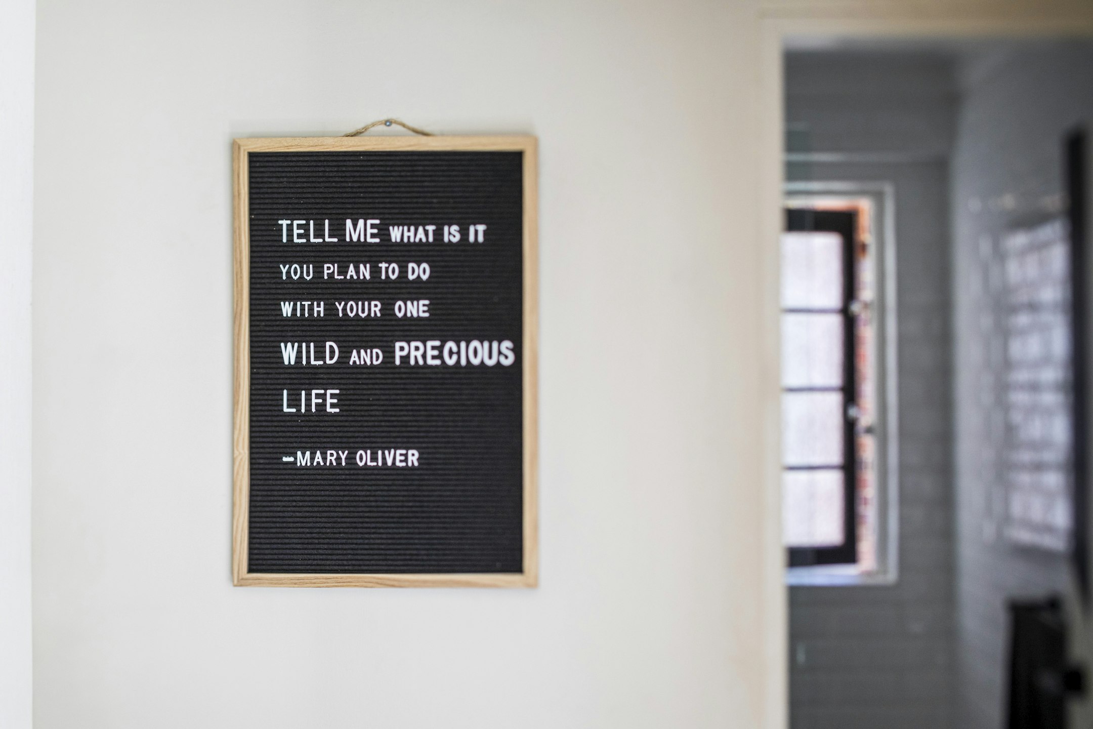 blackboard
